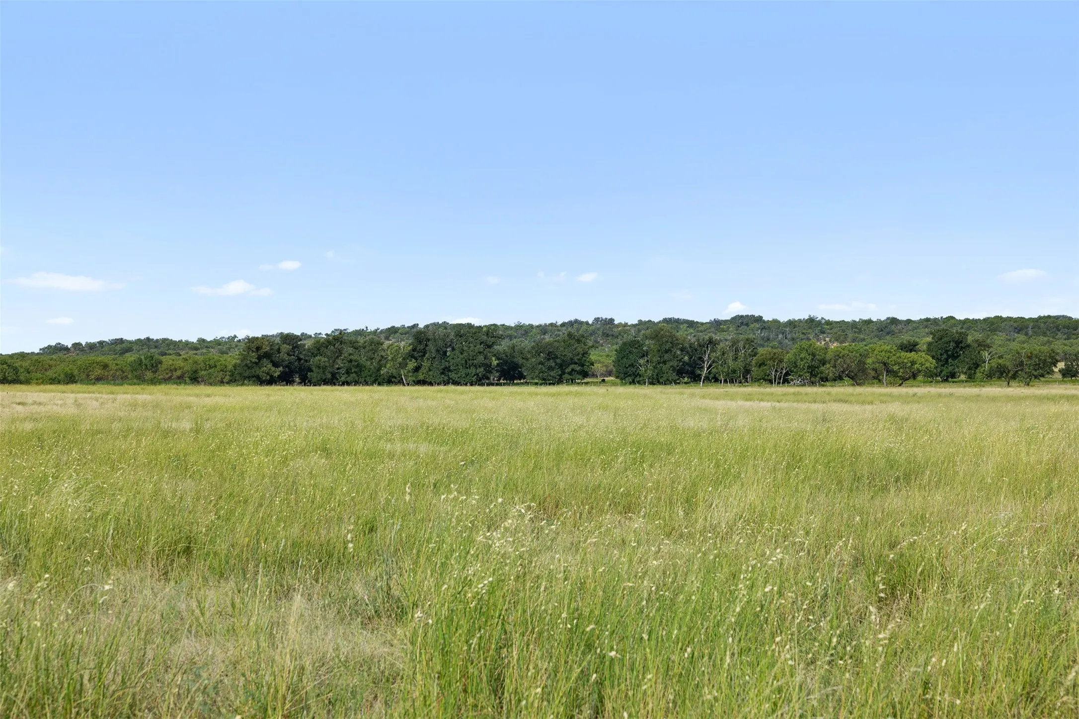 Improved Land For Sale in Coleman County , TBD FM 1176 S, Santa Anna, Texas 76878, 0, 0, Garage spaces, 0 Sqft, built in 0, mls#21360171, Real Estate Agent in Santa Anna, Homes For Sale in Coleman county, Homes For Sale in Santa Anna, Realtor in Santa Anna Texas, Real Estate Brokerage Independent Realty Texas, Luminita Cordes Realtor