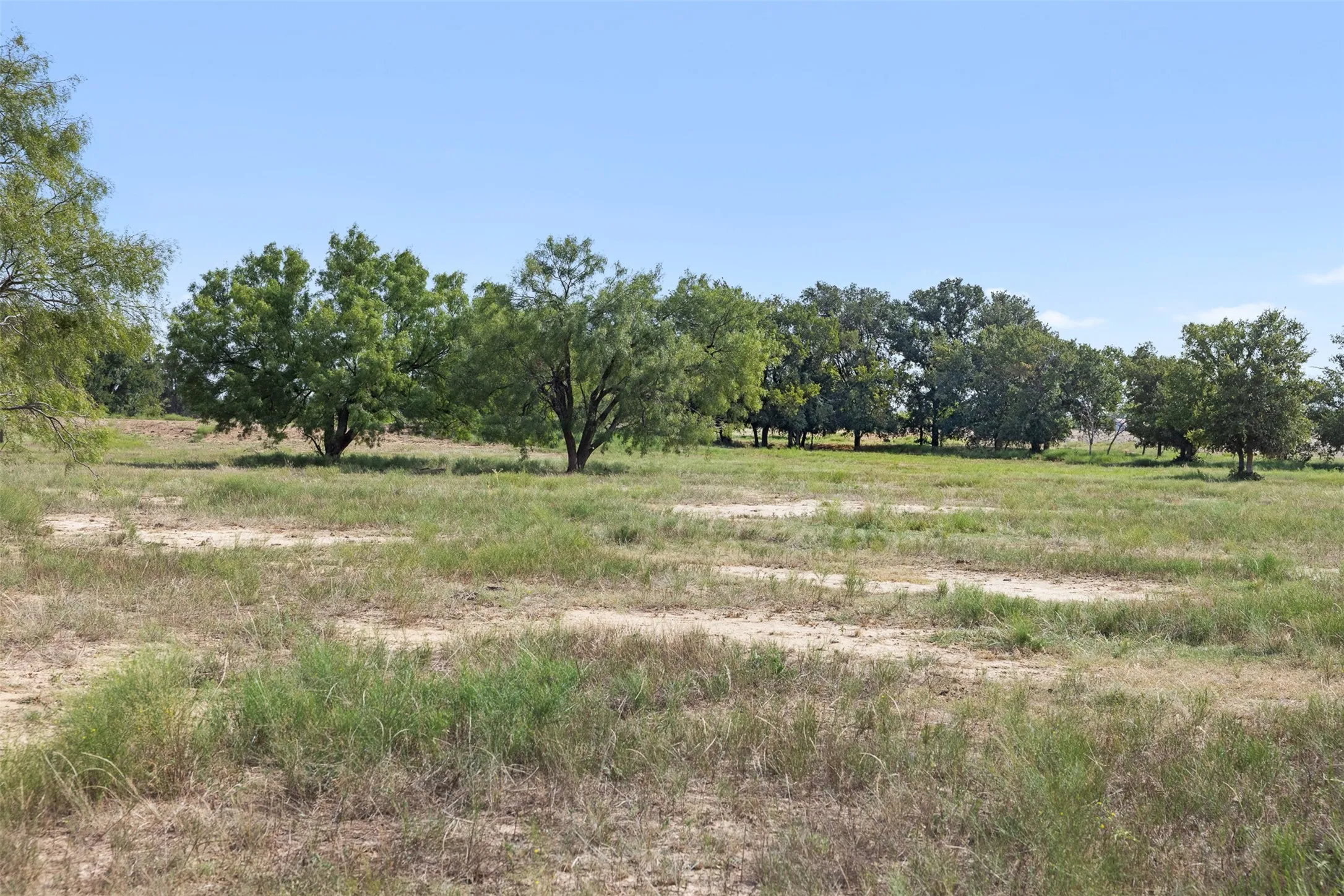 Improved Land For Sale in Coleman County , TBD FM 1176 S, Santa Anna, Texas 76878, 0, 0, Garage spaces, 0 Sqft, built in 0, mls#21360171, Real Estate Agent in Santa Anna, Homes For Sale in Coleman county, Homes For Sale in Santa Anna, Realtor in Santa Anna Texas, Real Estate Brokerage Independent Realty Texas, Luminita Cordes Realtor