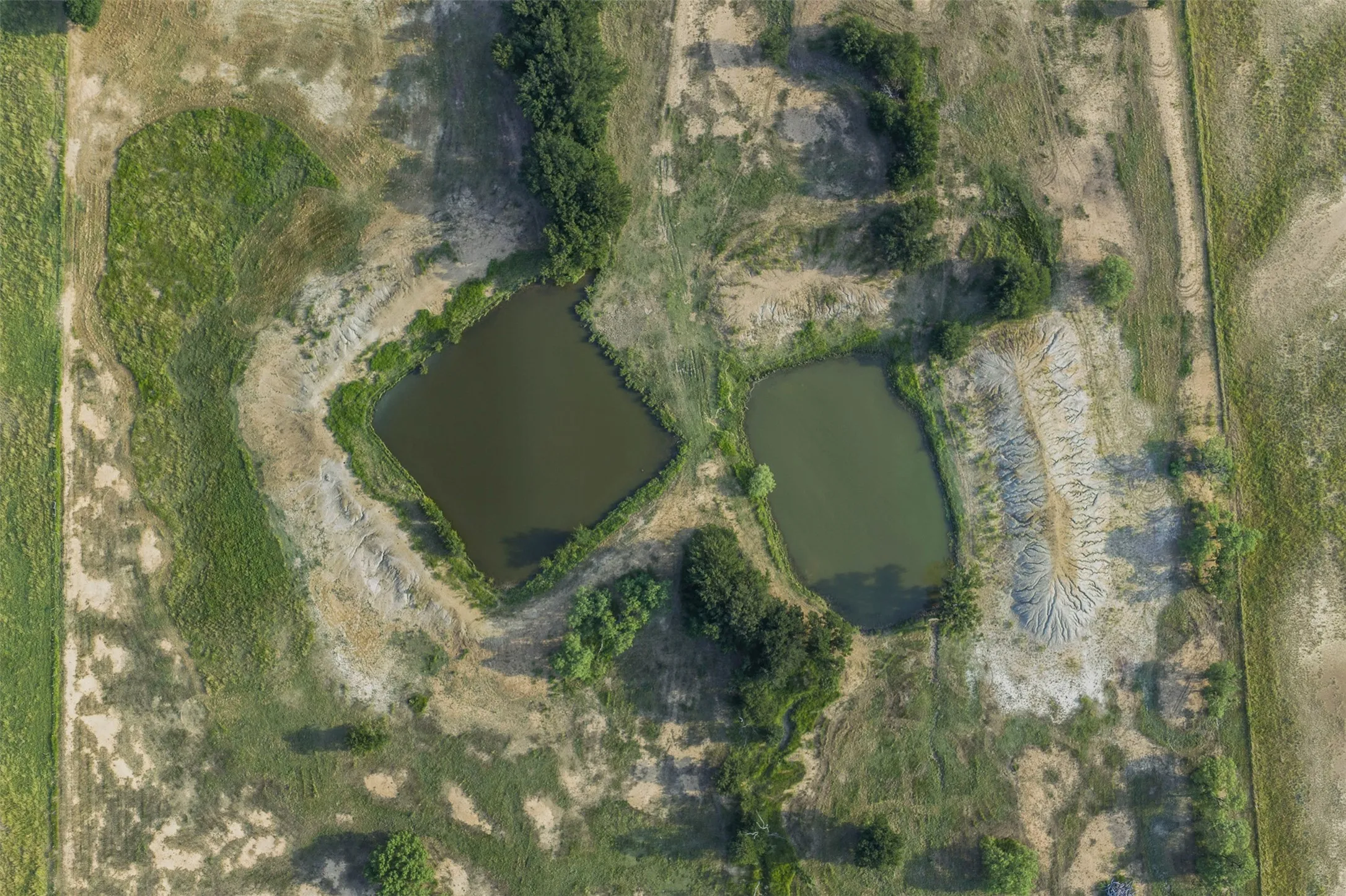 Improved Land For Sale in Coleman County , TBD FM 1176 S, Santa Anna, Texas 76878, 0, 0, Garage spaces, 0 Sqft, built in 0, mls#21360171, Real Estate Agent in Santa Anna, Homes For Sale in Coleman county, Homes For Sale in Santa Anna, Realtor in Santa Anna Texas, Real Estate Brokerage Independent Realty Texas, Luminita Cordes Realtor