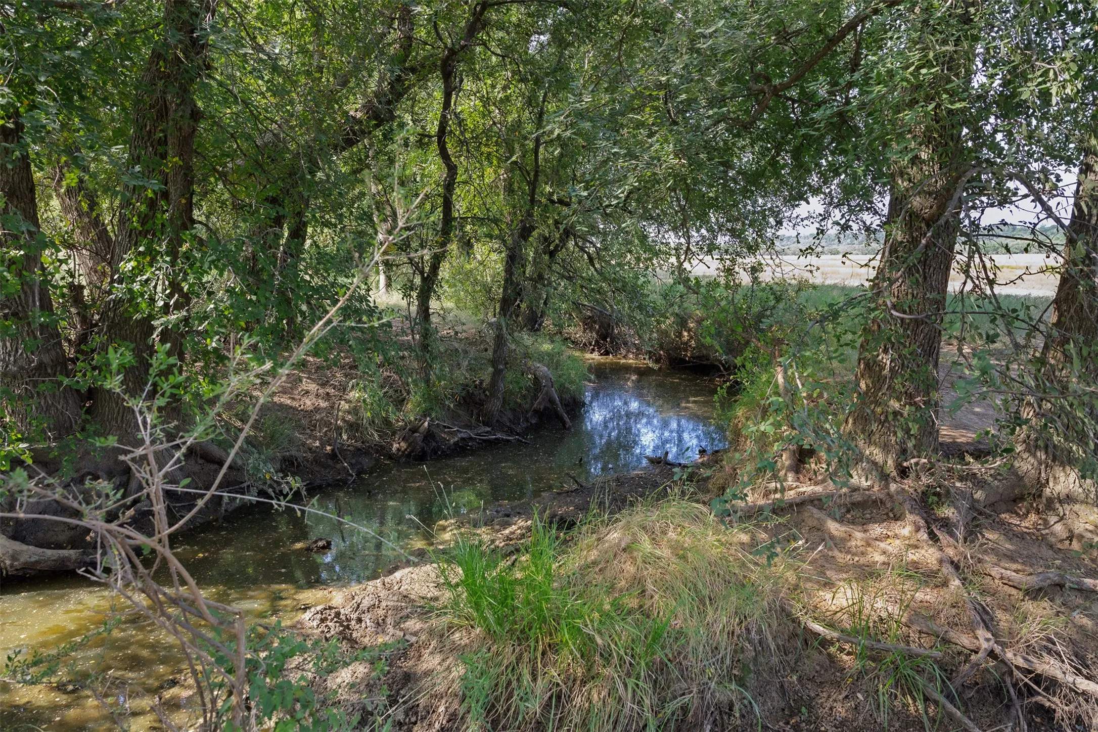 Improved Land For Sale in Coleman County , TBD FM 1176 S, Santa Anna, Texas 76878, 0, 0, Garage spaces, 0 Sqft, built in 0, mls#21360171, Real Estate Agent in Santa Anna, Homes For Sale in Coleman county, Homes For Sale in Santa Anna, Realtor in Santa Anna Texas, Real Estate Brokerage Independent Realty Texas, Luminita Cordes Realtor
