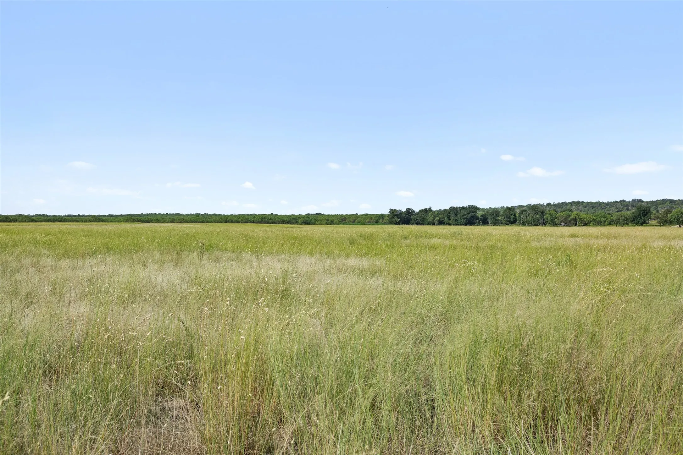 Improved Land For Sale in Coleman County , TBD FM 1176 S, Santa Anna, Texas 76878, 0, 0, Garage spaces, 0 Sqft, built in 0, mls#21360171, Real Estate Agent in Santa Anna, Homes For Sale in Coleman county, Homes For Sale in Santa Anna, Realtor in Santa Anna Texas, Real Estate Brokerage Independent Realty Texas, Luminita Cordes Realtor