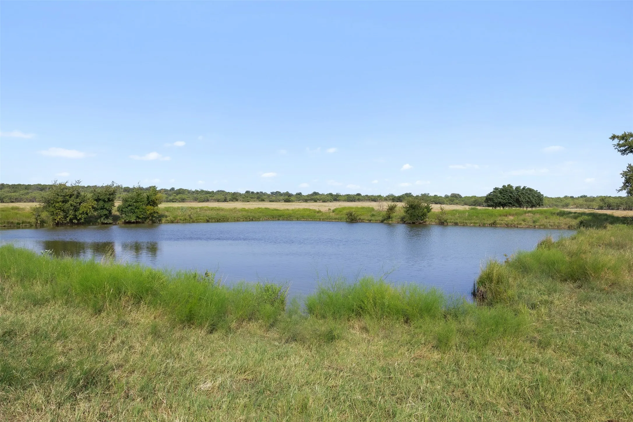Improved Land For Sale in Coleman County , TBD FM 1176 S, Santa Anna, Texas 76878, 0, 0, Garage spaces, 0 Sqft, built in 0, mls#21360171, Real Estate Agent in Santa Anna, Homes For Sale in Coleman county, Homes For Sale in Santa Anna, Realtor in Santa Anna Texas, Real Estate Brokerage Independent Realty Texas, Luminita Cordes Realtor