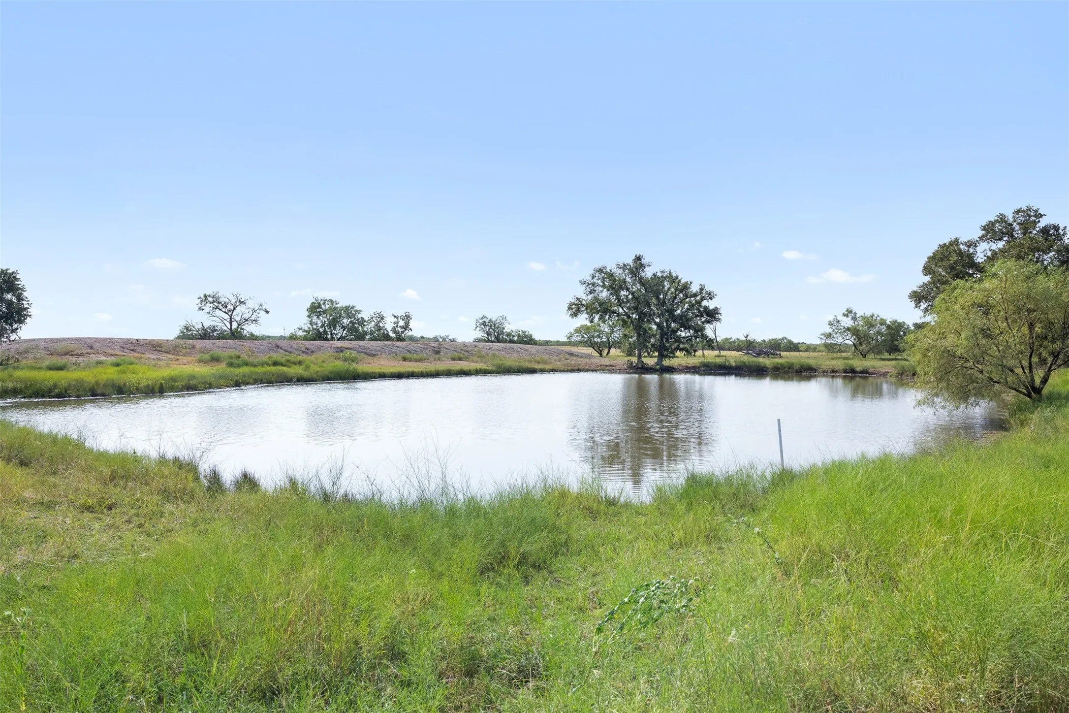 Improved Land For Sale in Coleman County , TBD FM 1176 S, Santa Anna, Texas 76878, 0, 0, Garage spaces, 0 Sqft, built in 0, mls#21360171, Real Estate Agent in Santa Anna, Homes For Sale in Coleman county, Homes For Sale in Santa Anna, Realtor in Santa Anna Texas, Real Estate Brokerage Independent Realty Texas, Luminita Cordes Realtor