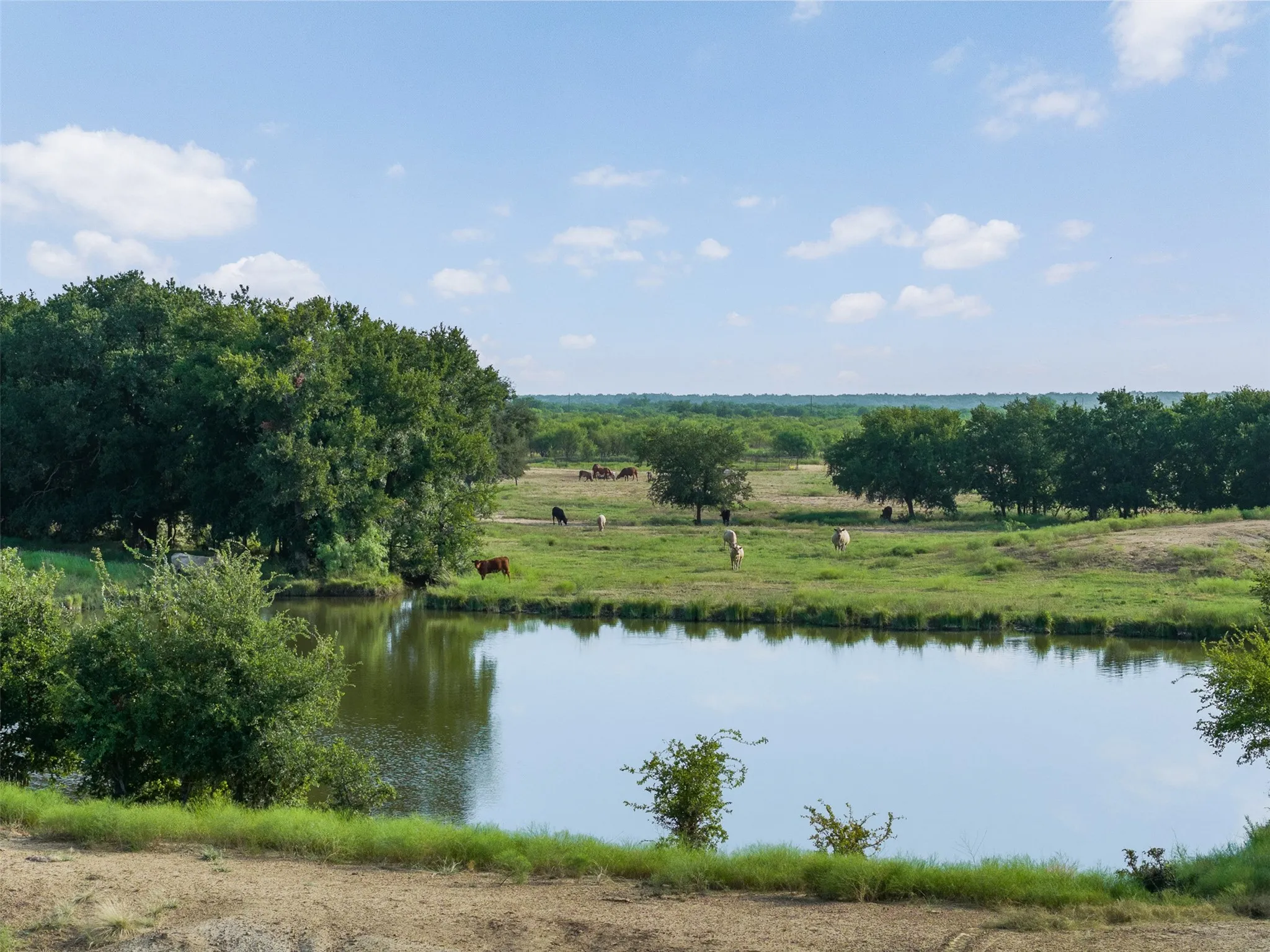 Improved Land For Sale in Coleman County , TBD FM 1176 S, Santa Anna, Texas 76878, 0, 0, Garage spaces, 0 Sqft, built in 0, mls#21360171, Real Estate Agent in Santa Anna, Homes For Sale in Coleman county, Homes For Sale in Santa Anna, Realtor in Santa Anna Texas, Real Estate Brokerage Independent Realty Texas, Luminita Cordes Realtor