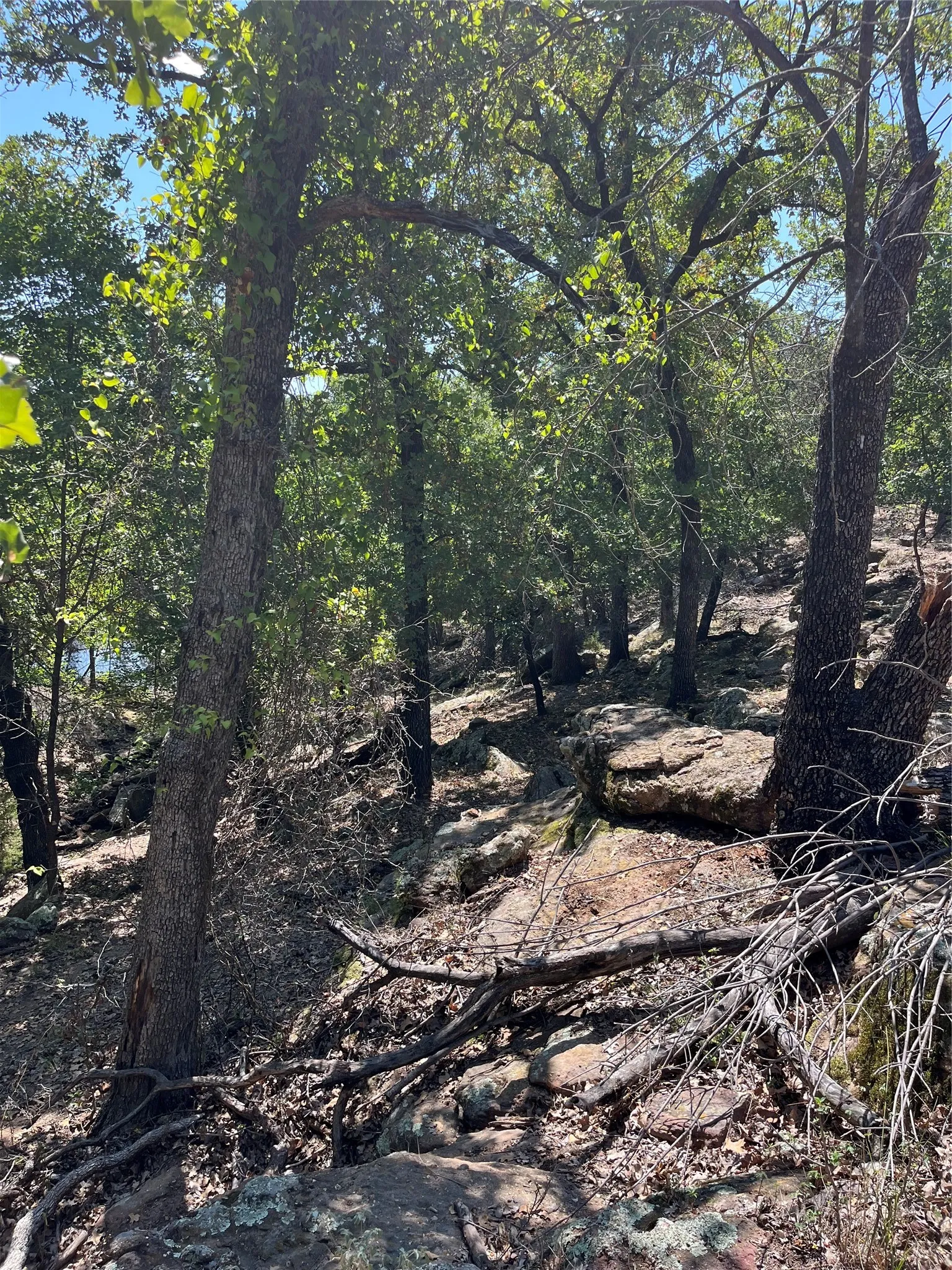 Unimproved Land For Sale in Palo Pinto County , B29 Glenhollow Drive, Gordon, Texas 76453, 0, 0, Garage spaces, 0 Sqft, built in 0, Price $20,000, mls#21361090, Real Estate Agent in Gordon, Homes For Sale in Palo Pinto county, Homes For Sale in Gordon, Realtor in Gordon Texas, Real Estate Brokerage Independent Realty Texas, Luminita Cordes Realtor