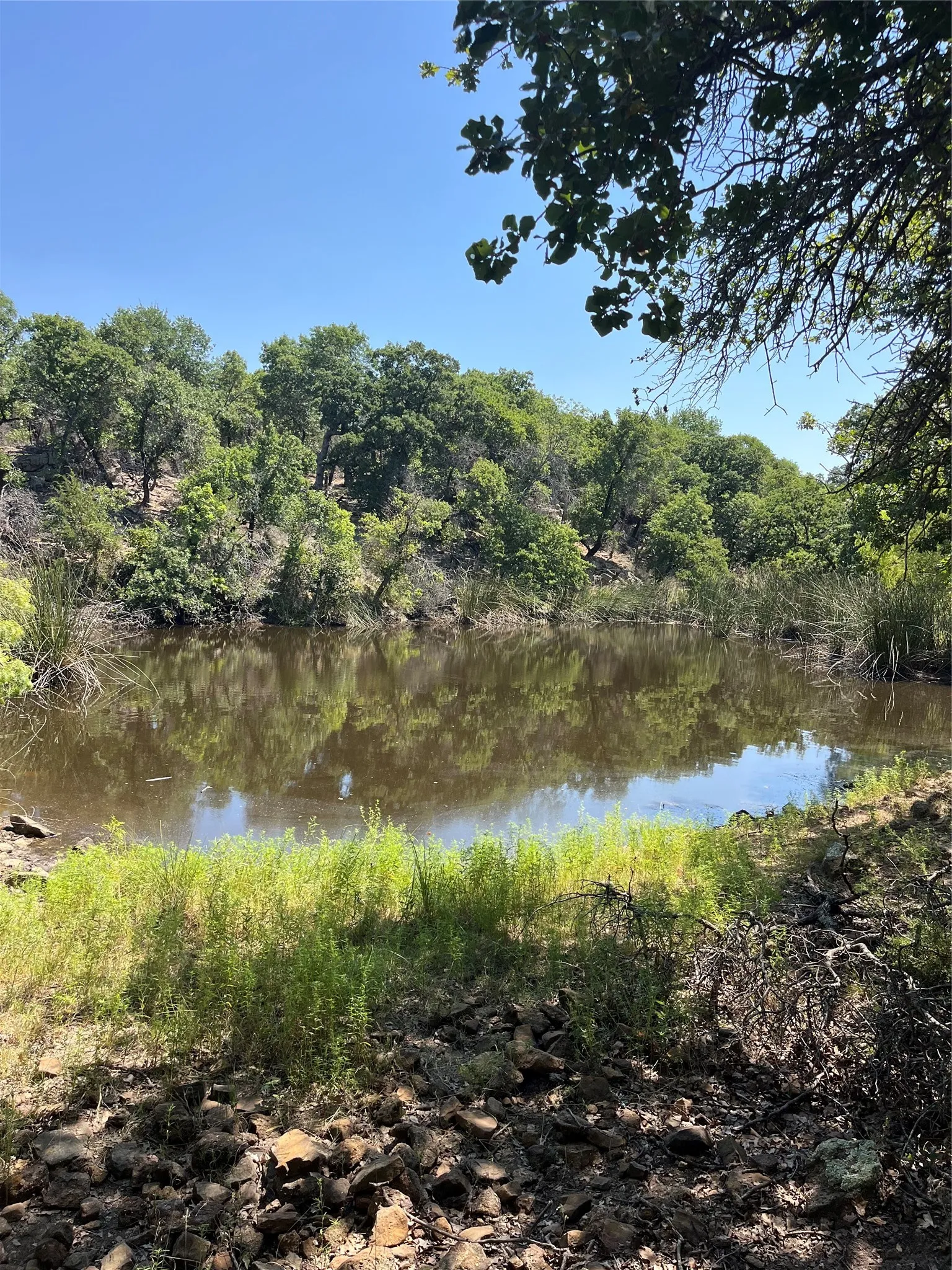 Unimproved Land For Sale in Palo Pinto County , B29 Glenhollow Drive, Gordon, Texas 76453, 0, 0, Garage spaces, 0 Sqft, built in 0, Price $20,000, mls#21361090, Real Estate Agent in Gordon, Homes For Sale in Palo Pinto county, Homes For Sale in Gordon, Realtor in Gordon Texas, Real Estate Brokerage Independent Realty Texas, Luminita Cordes Realtor