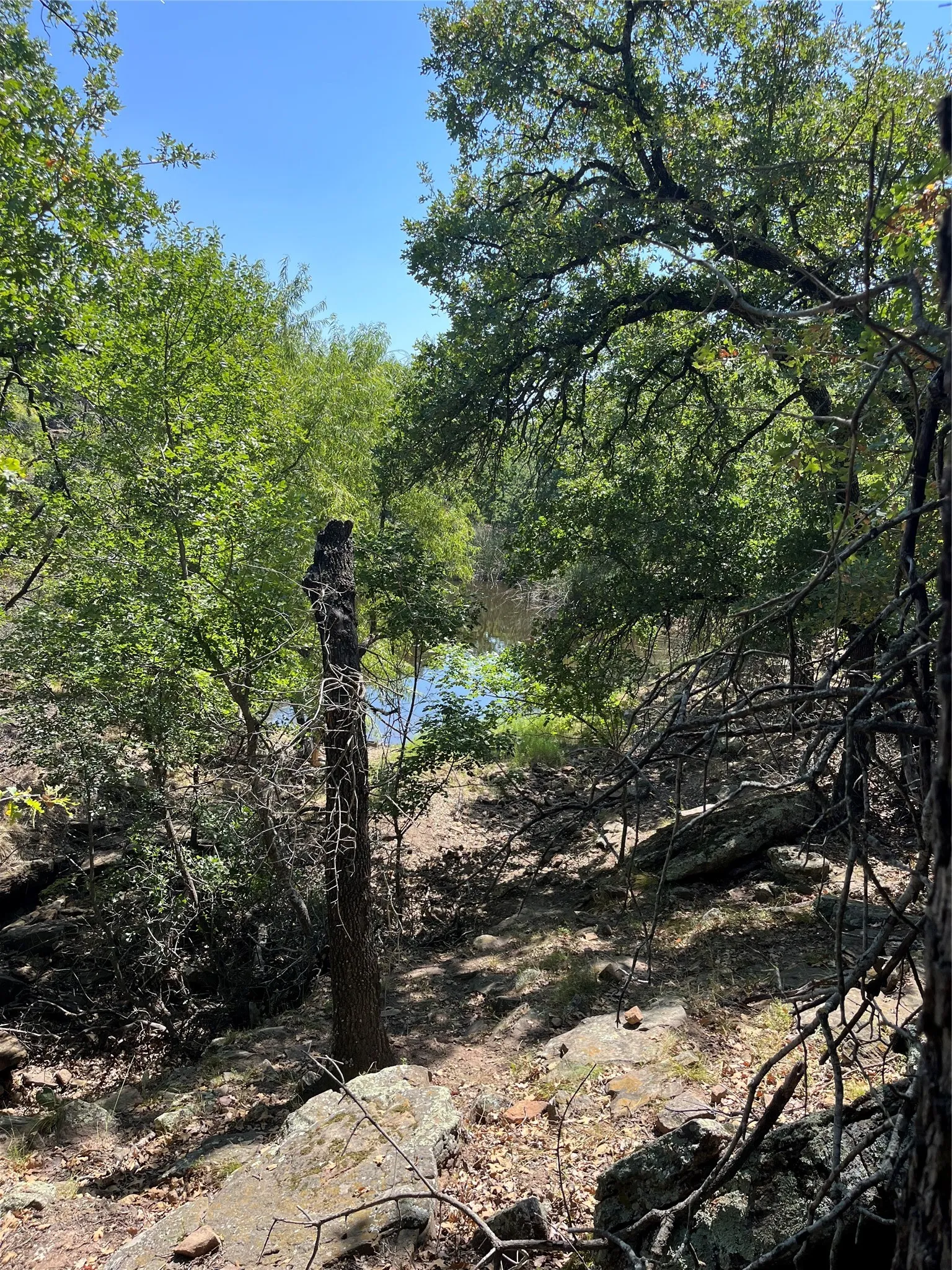 Unimproved Land For Sale in Palo Pinto County , B29 Glenhollow Drive, Gordon, Texas 76453, 0, 0, Garage spaces, 0 Sqft, built in 0, Price $20,000, mls#21361090, Real Estate Agent in Gordon, Homes For Sale in Palo Pinto county, Homes For Sale in Gordon, Realtor in Gordon Texas, Real Estate Brokerage Independent Realty Texas, Luminita Cordes Realtor