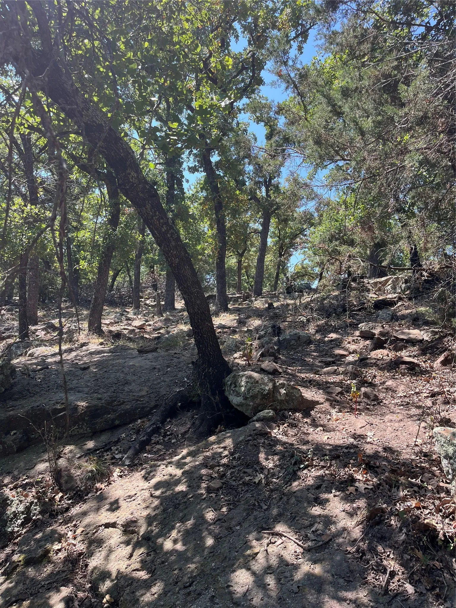 Unimproved Land For Sale in Palo Pinto County , B29 Glenhollow Drive, Gordon, Texas 76453, 0, 0, Garage spaces, 0 Sqft, built in 0, Price $20,000, mls#21361090, Real Estate Agent in Gordon, Homes For Sale in Palo Pinto county, Homes For Sale in Gordon, Realtor in Gordon Texas, Real Estate Brokerage Independent Realty Texas, Luminita Cordes Realtor