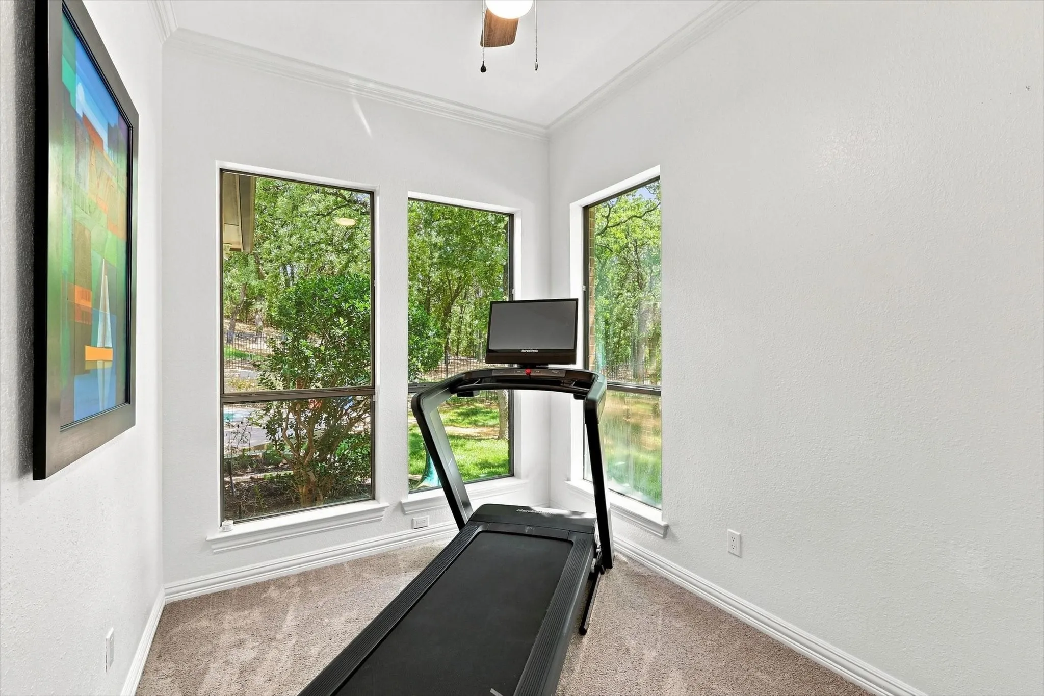Recessed room with three windows, crown molding, and carpeted flooring