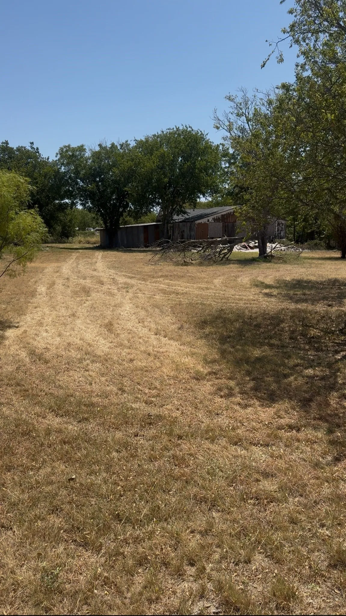 Single Family Residence For Sale in Young County , 809 N Avenue F, Olney, Texas 76374, 4 Bedroom, 2 Bathroom, Garage spaces, 1,260 Sqft, built in 1930, Price $45,000, mls#21358858, Real Estate Agent in Olney, Homes For Sale in Young county, Homes For Sale in Olney, Realtor in Olney Texas, Real Estate Brokerage Independent Realty Texas, Luminita Cordes Realtor