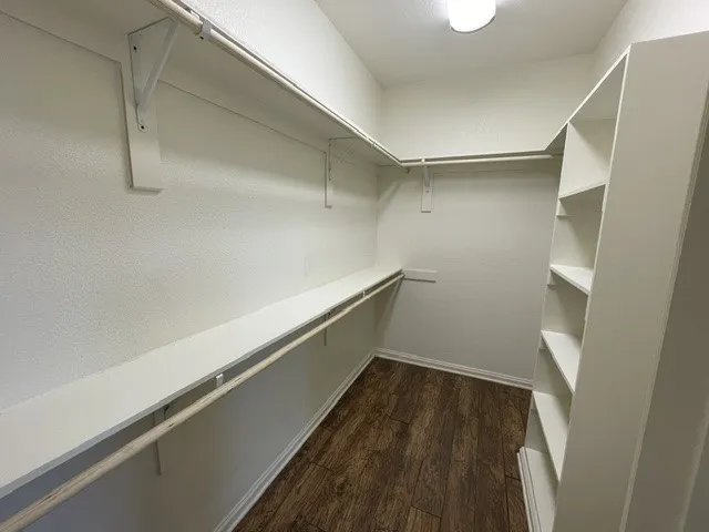 Walk-in closet with wood-finish flooring, built-in shelving, integrated hanging rods, and an overhead light fixture