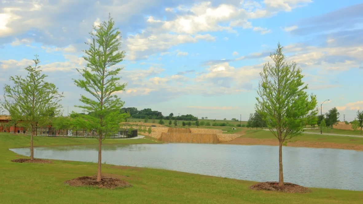 Community Pond