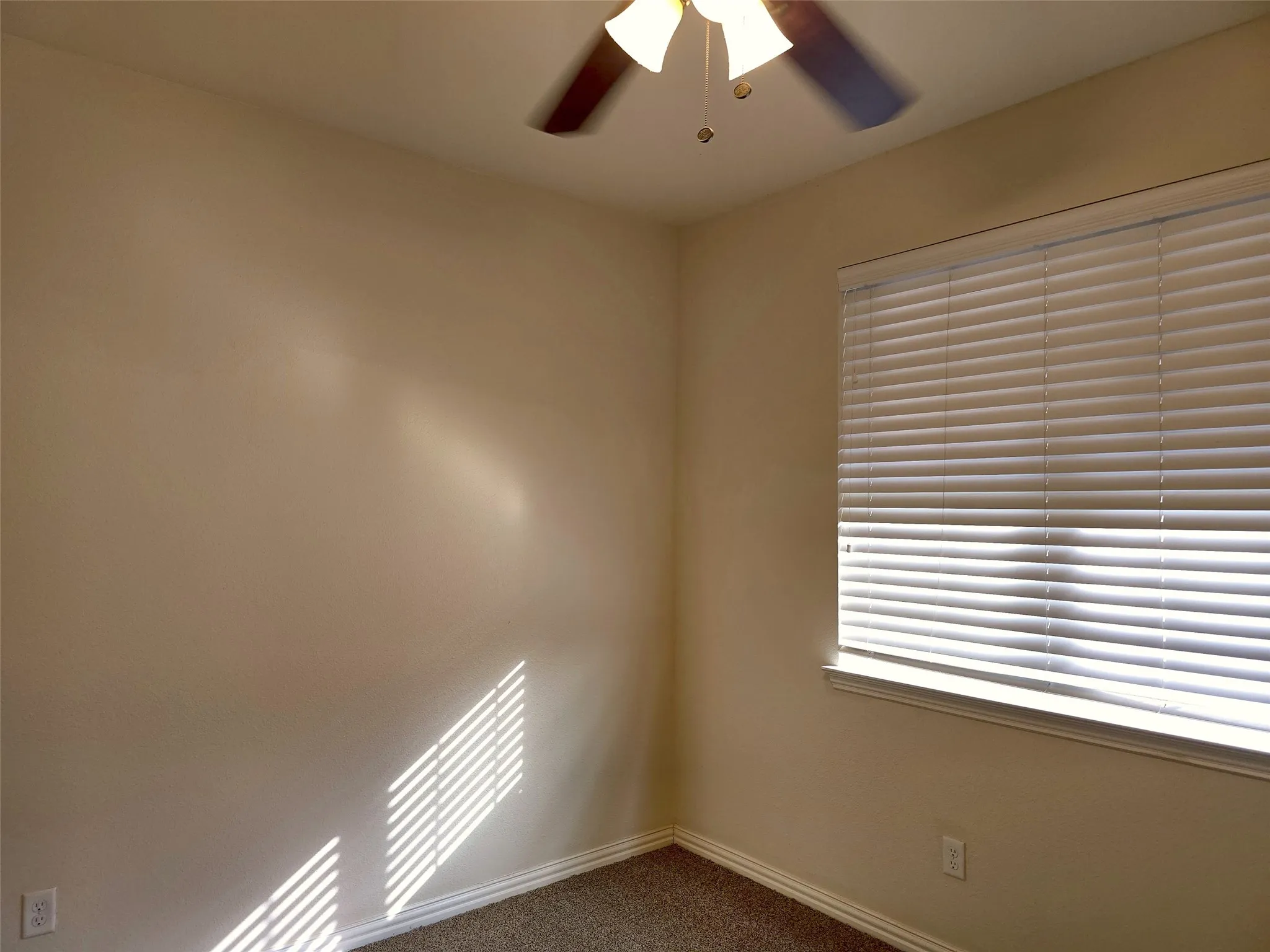 Textured wall finish, ceiling fan with light fixture, window with blinds, carpeted flooring, and white trim