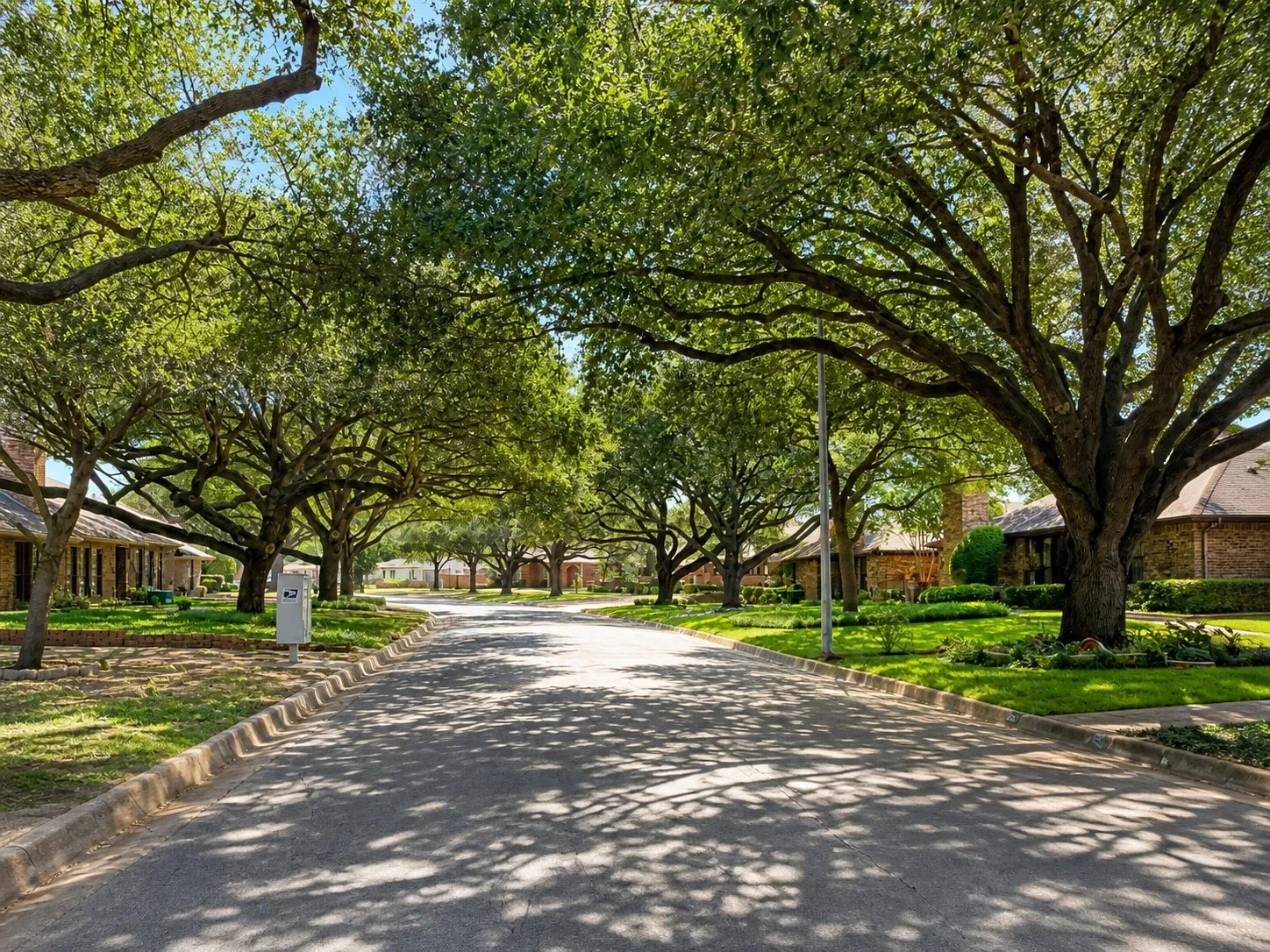 Lovely tree-lined street.