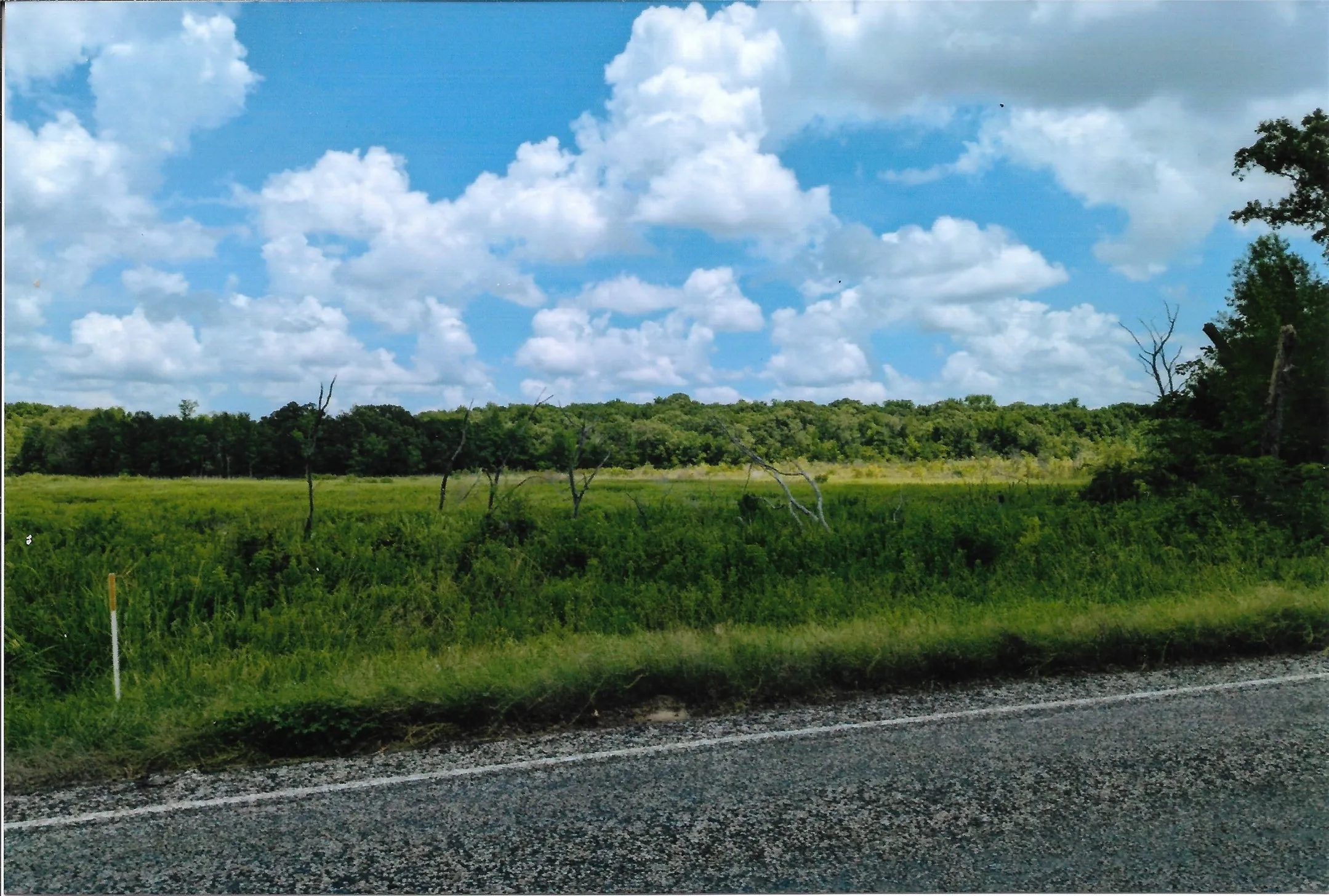 Unimproved Land For Sale in Van Zandt County , TBD 133 AC +- VZ County Road 4701, Ben Wheeler, Texas 75754, 0, 0, Garage spaces, 0 Sqft, built in 0, Price $1,400,000, mls#21361235, Real Estate Agent in Ben Wheeler, Homes For Sale in Van Zandt county, Homes For Sale in Ben Wheeler, Realtor in Ben Wheeler Texas, Real Estate Brokerage Independent Realty Texas, Luminita Cordes Realtor