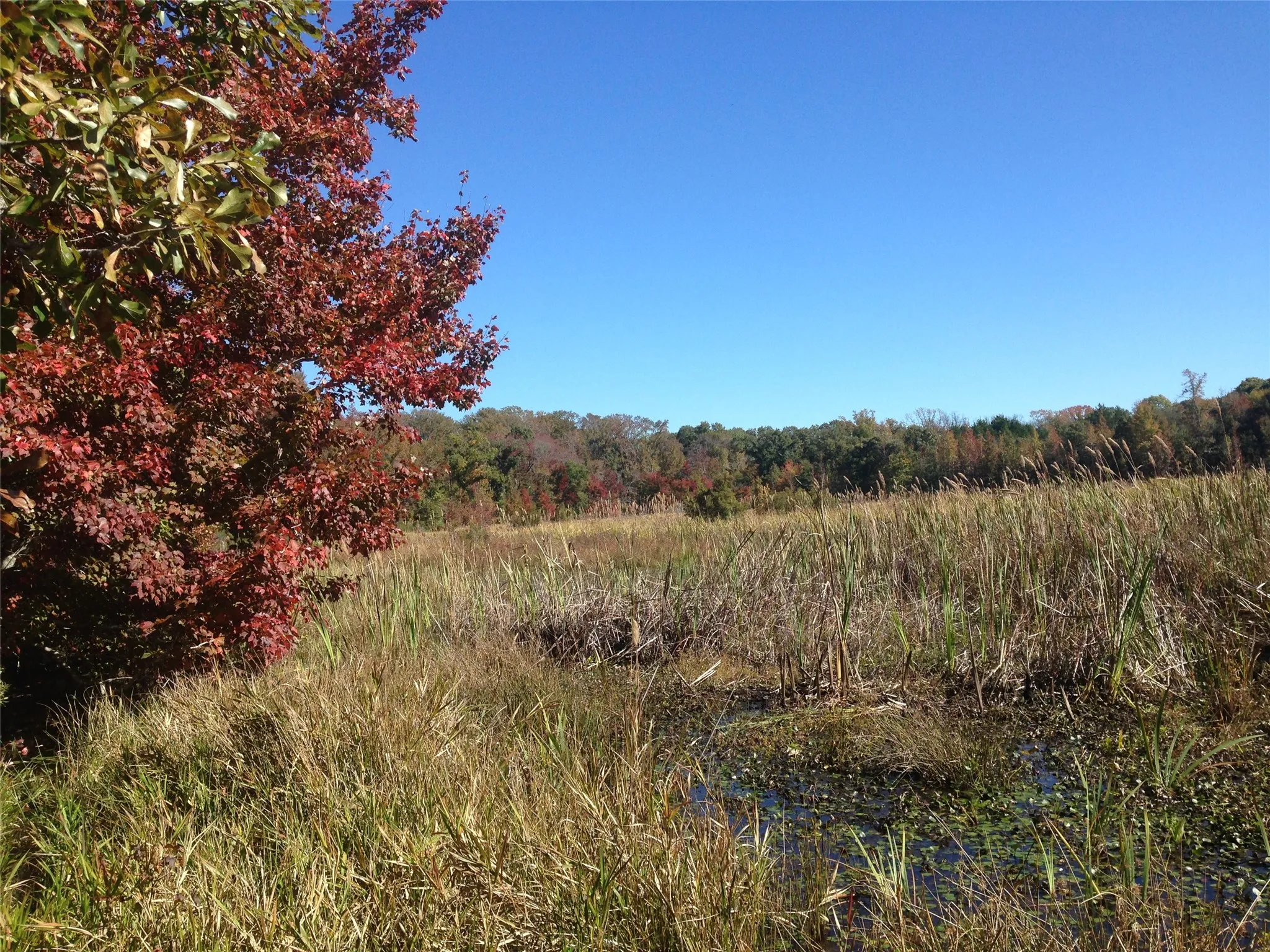 Unimproved Land For Sale in Van Zandt County , TBD 133 AC +- VZ County Road 4701, Ben Wheeler, Texas 75754, 0, 0, Garage spaces, 0 Sqft, built in 0, Price $1,400,000, mls#21361235, Real Estate Agent in Ben Wheeler, Homes For Sale in Van Zandt county, Homes For Sale in Ben Wheeler, Realtor in Ben Wheeler Texas, Real Estate Brokerage Independent Realty Texas, Luminita Cordes Realtor