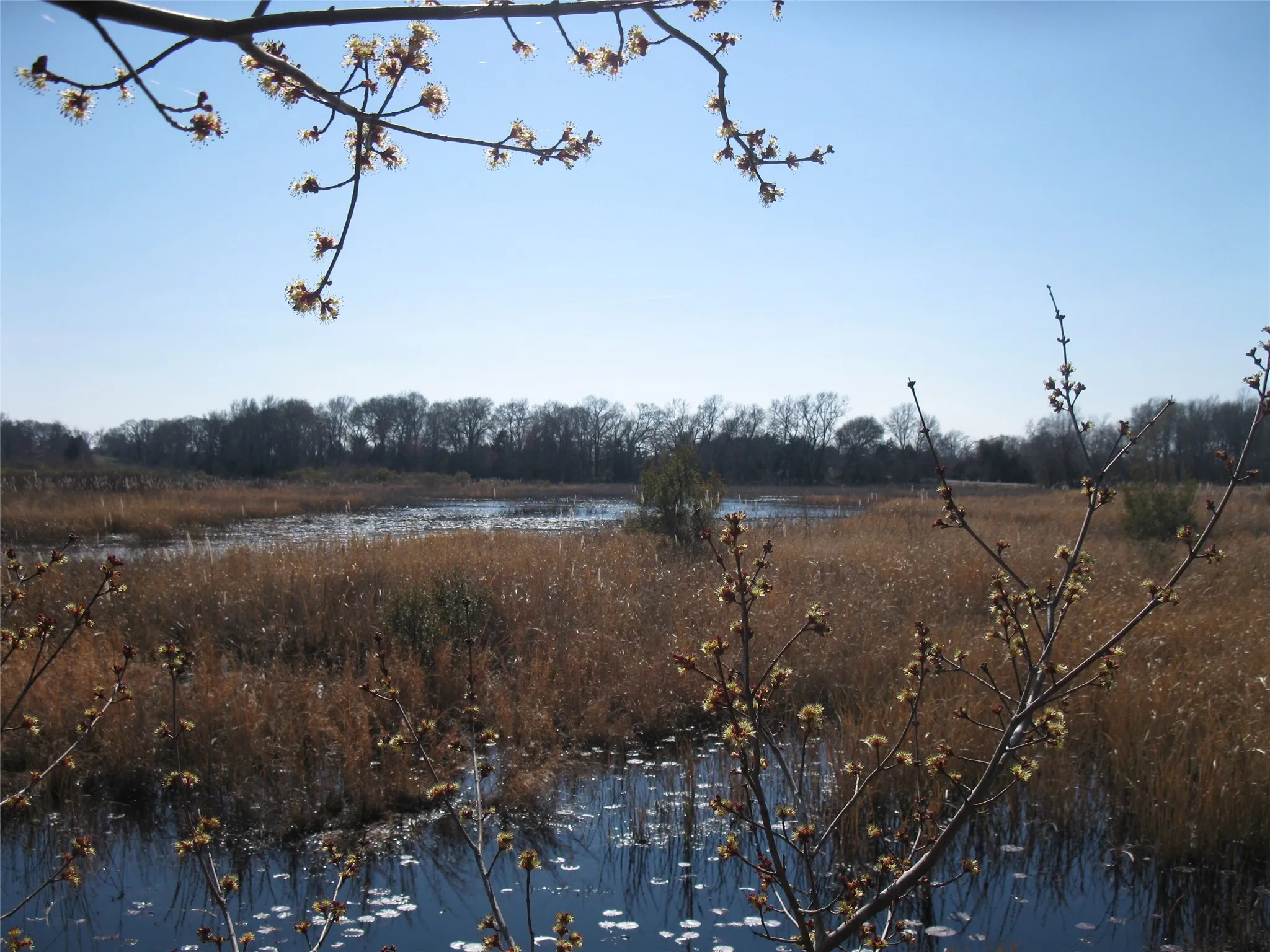 Unimproved Land For Sale in Van Zandt County , TBD 133 AC +- VZ County Road 4701, Ben Wheeler, Texas 75754, 0, 0, Garage spaces, 0 Sqft, built in 0, Price $1,400,000, mls#21361235, Real Estate Agent in Ben Wheeler, Homes For Sale in Van Zandt county, Homes For Sale in Ben Wheeler, Realtor in Ben Wheeler Texas, Real Estate Brokerage Independent Realty Texas, Luminita Cordes Realtor