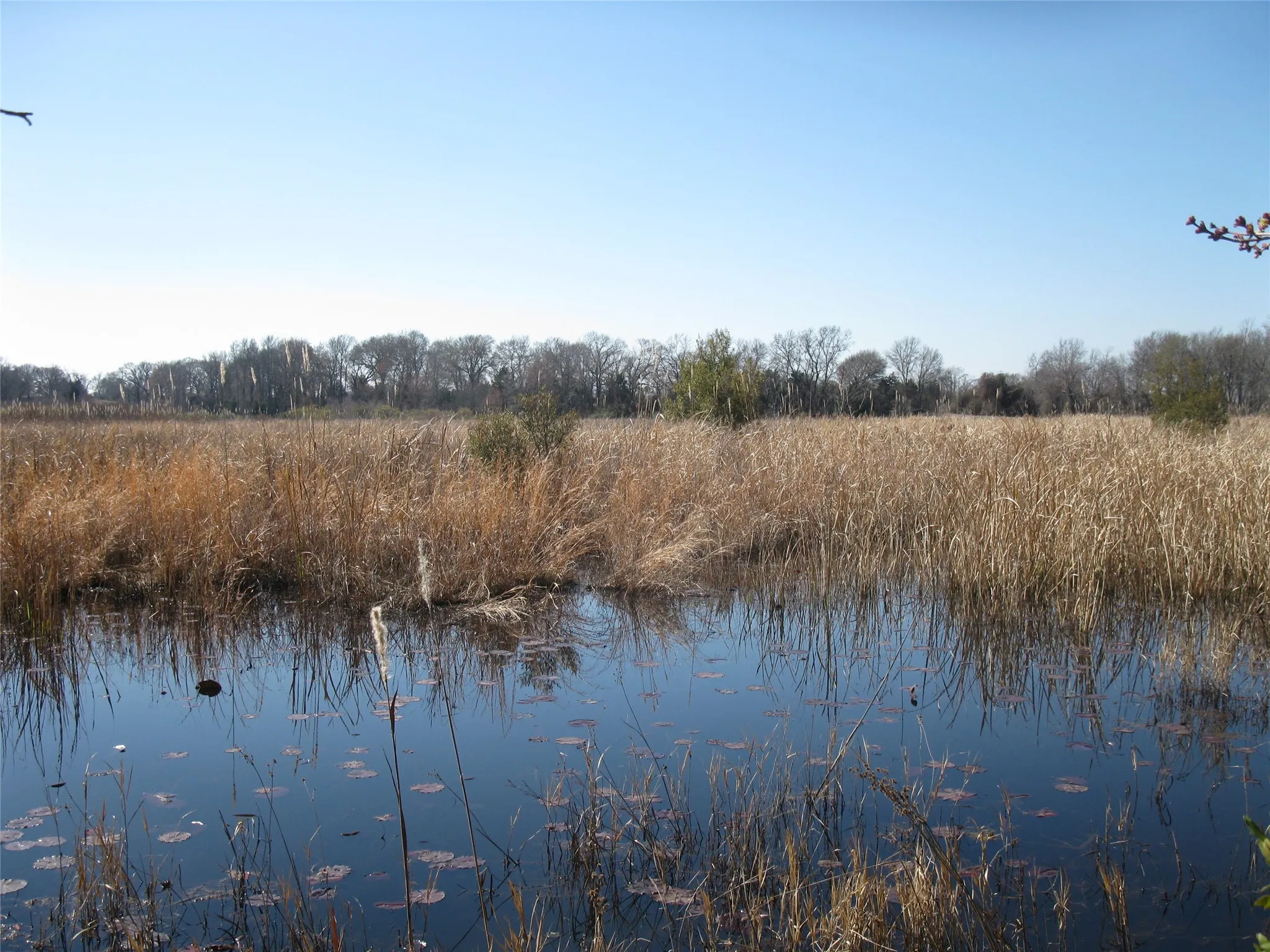 Unimproved Land For Sale in Van Zandt County , TBD 133 AC +- VZ County Road 4701, Ben Wheeler, Texas 75754, 0, 0, Garage spaces, 0 Sqft, built in 0, Price $1,400,000, mls#21361235, Real Estate Agent in Ben Wheeler, Homes For Sale in Van Zandt county, Homes For Sale in Ben Wheeler, Realtor in Ben Wheeler Texas, Real Estate Brokerage Independent Realty Texas, Luminita Cordes Realtor