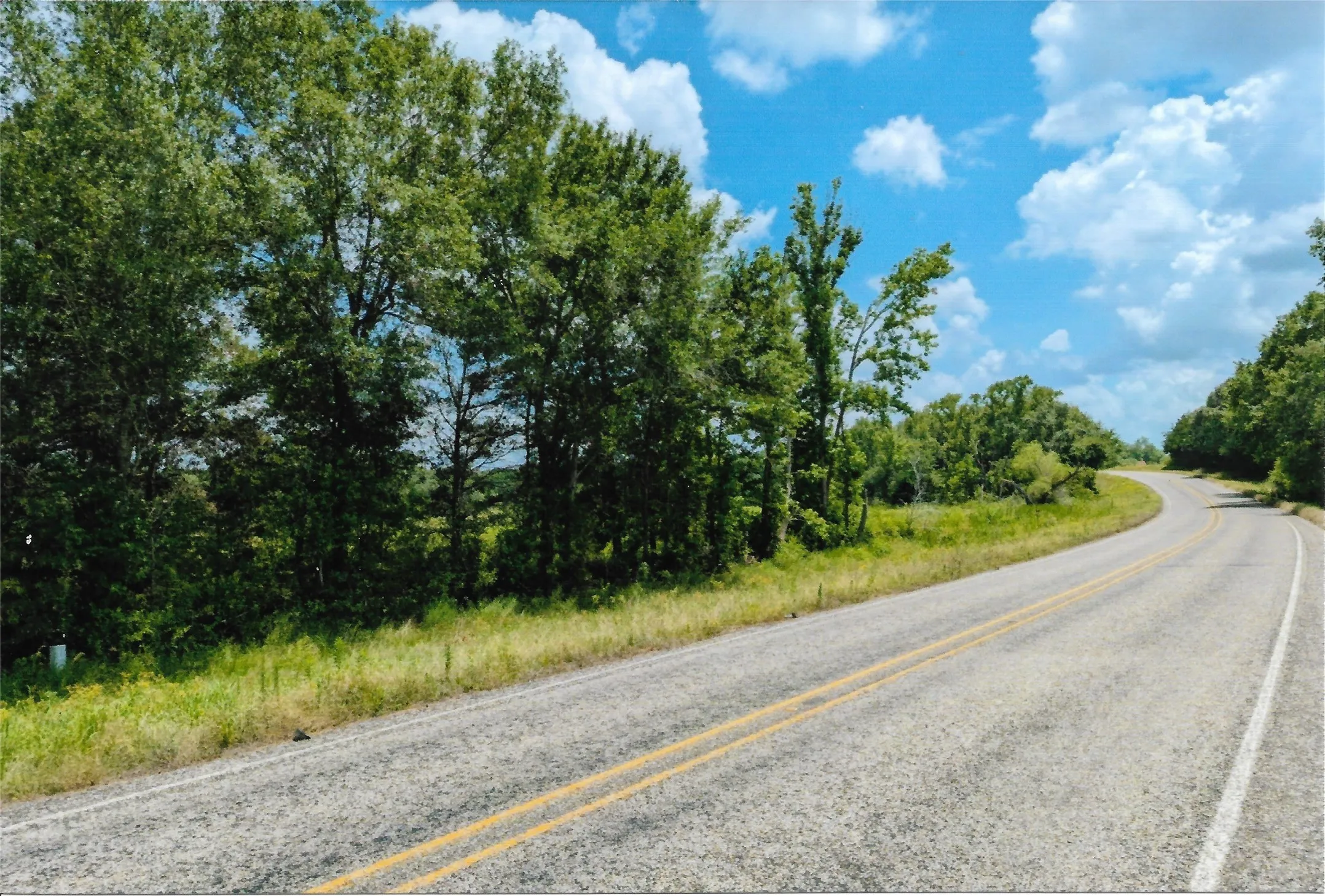 Unimproved Land For Sale in Van Zandt County , TBD 133 AC +- VZ County Road 4701, Ben Wheeler, Texas 75754, 0, 0, Garage spaces, 0 Sqft, built in 0, Price $1,400,000, mls#21361235, Real Estate Agent in Ben Wheeler, Homes For Sale in Van Zandt county, Homes For Sale in Ben Wheeler, Realtor in Ben Wheeler Texas, Real Estate Brokerage Independent Realty Texas, Luminita Cordes Realtor