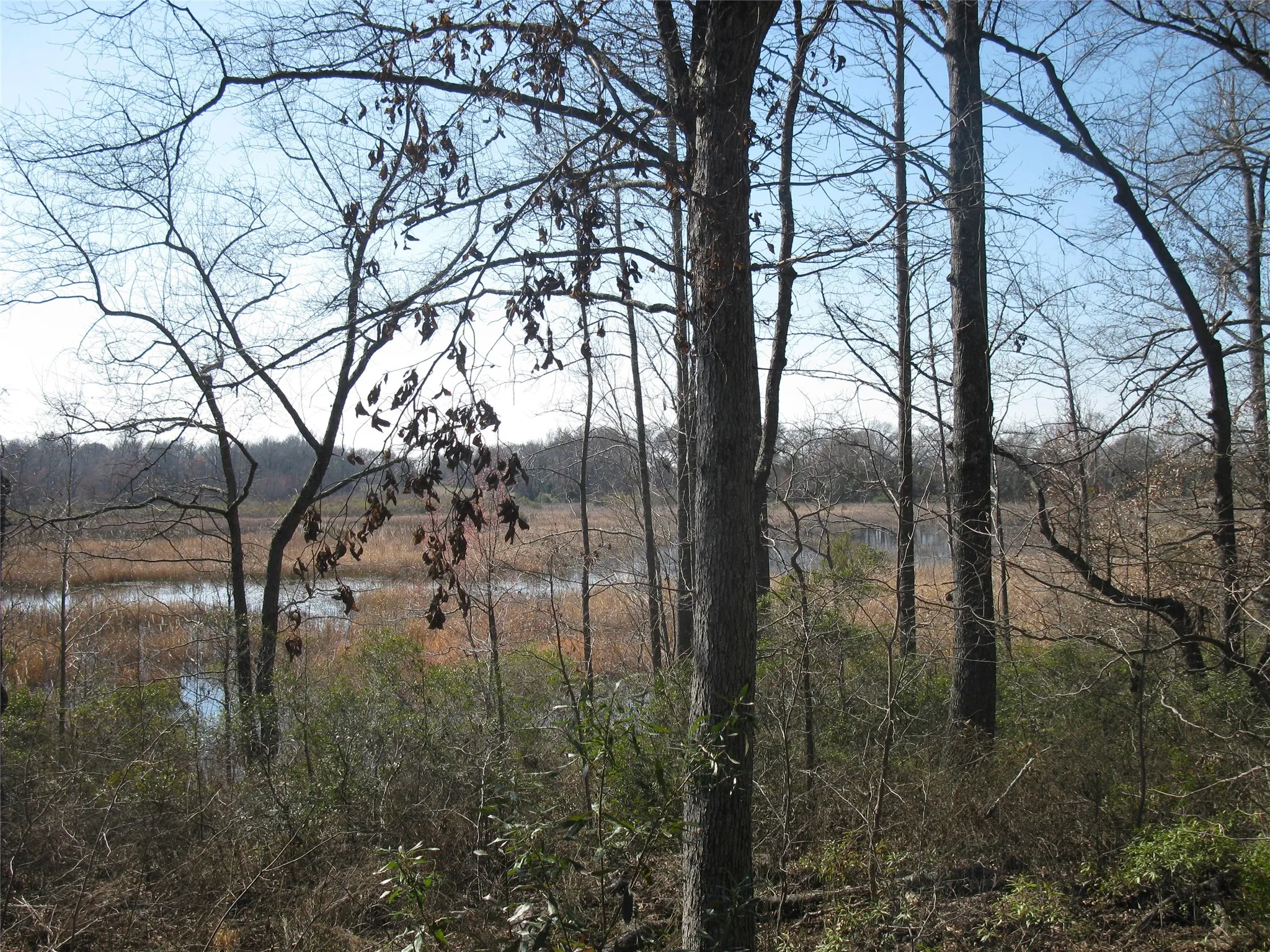 Unimproved Land For Sale in Van Zandt County , TBD 133 AC +- VZ County Road 4701, Ben Wheeler, Texas 75754, 0, 0, Garage spaces, 0 Sqft, built in 0, Price $1,400,000, mls#21361235, Real Estate Agent in Ben Wheeler, Homes For Sale in Van Zandt county, Homes For Sale in Ben Wheeler, Realtor in Ben Wheeler Texas, Real Estate Brokerage Independent Realty Texas, Luminita Cordes Realtor