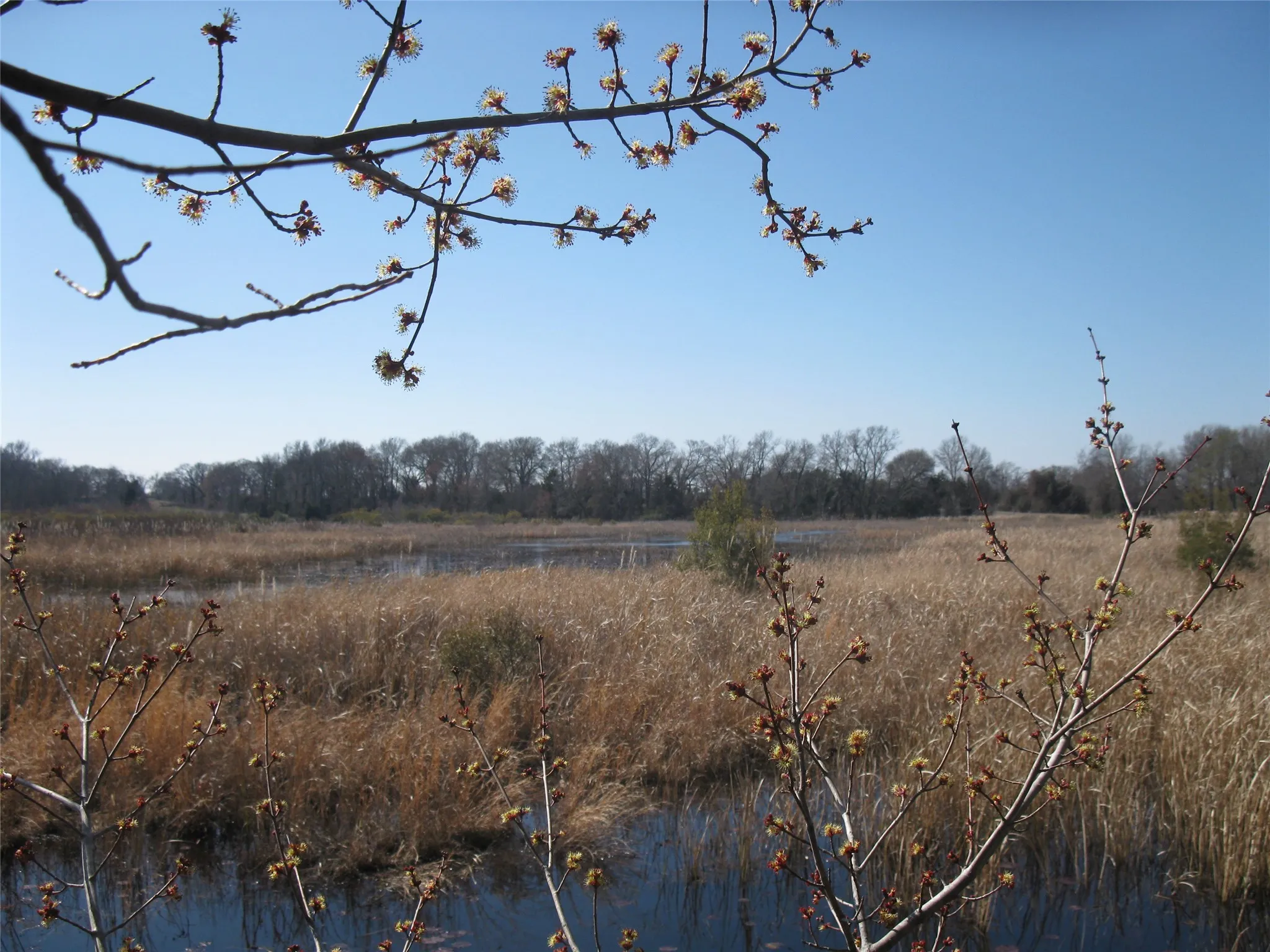 Unimproved Land For Sale in Van Zandt County , TBD 133 AC +- VZ County Road 4701, Ben Wheeler, Texas 75754, 0, 0, Garage spaces, 0 Sqft, built in 0, Price $1,400,000, mls#21361235, Real Estate Agent in Ben Wheeler, Homes For Sale in Van Zandt county, Homes For Sale in Ben Wheeler, Realtor in Ben Wheeler Texas, Real Estate Brokerage Independent Realty Texas, Luminita Cordes Realtor