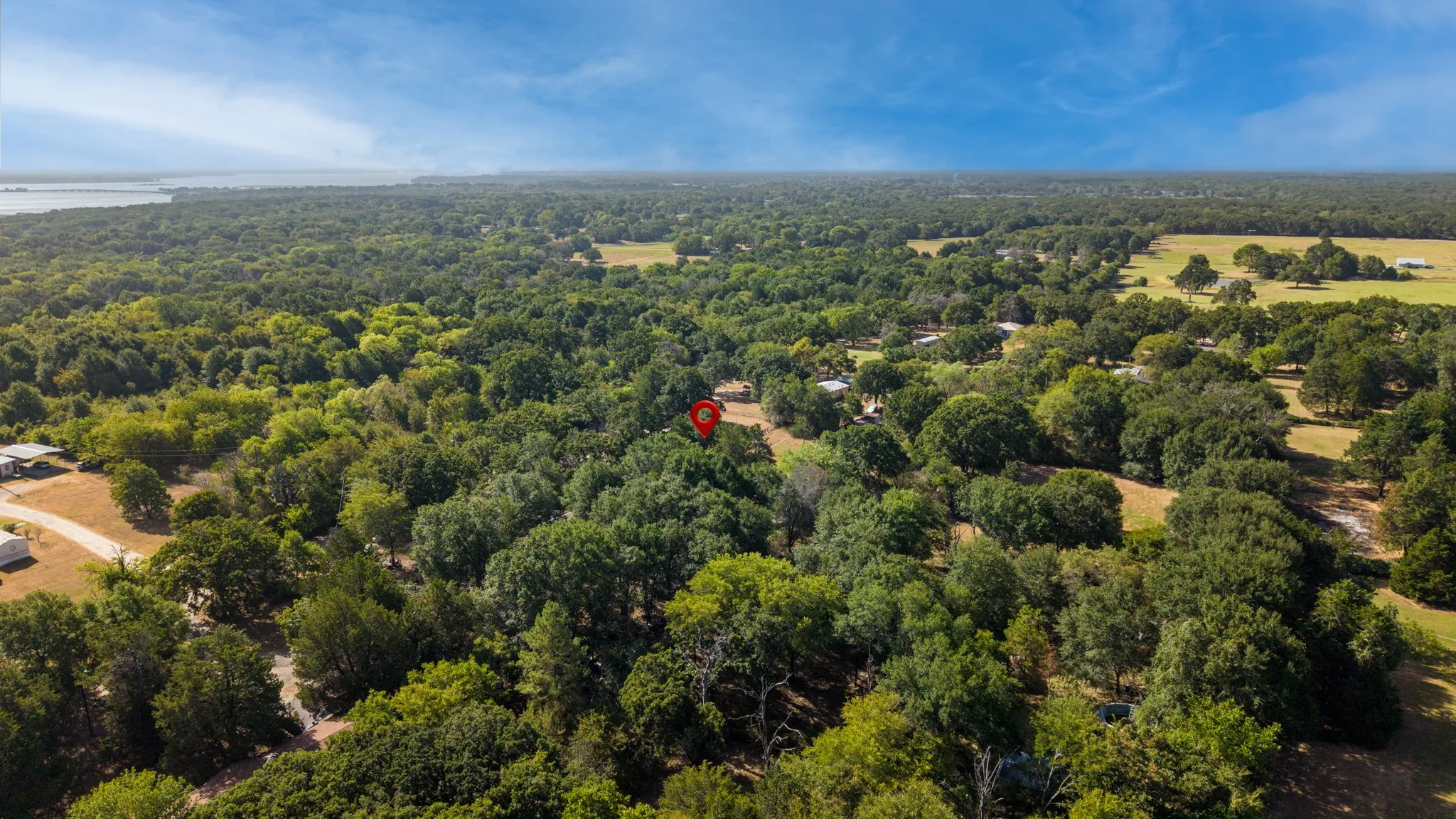 Expansive wooded acreage featuring mature trees and a nearby body of water