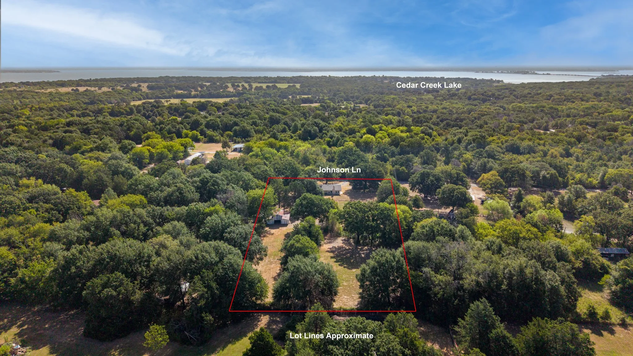 Aerial property showcasing extensive tree coverage