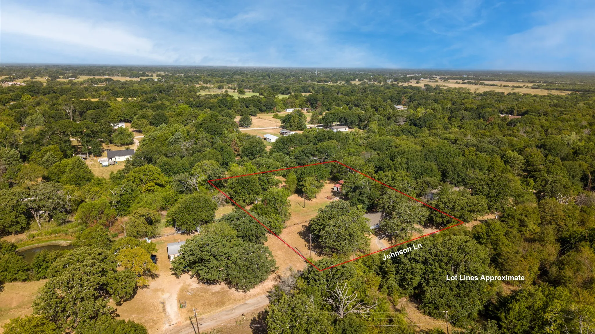 Expansive acreage surrounded by mature trees, featuring a serene pond and a single-story structure