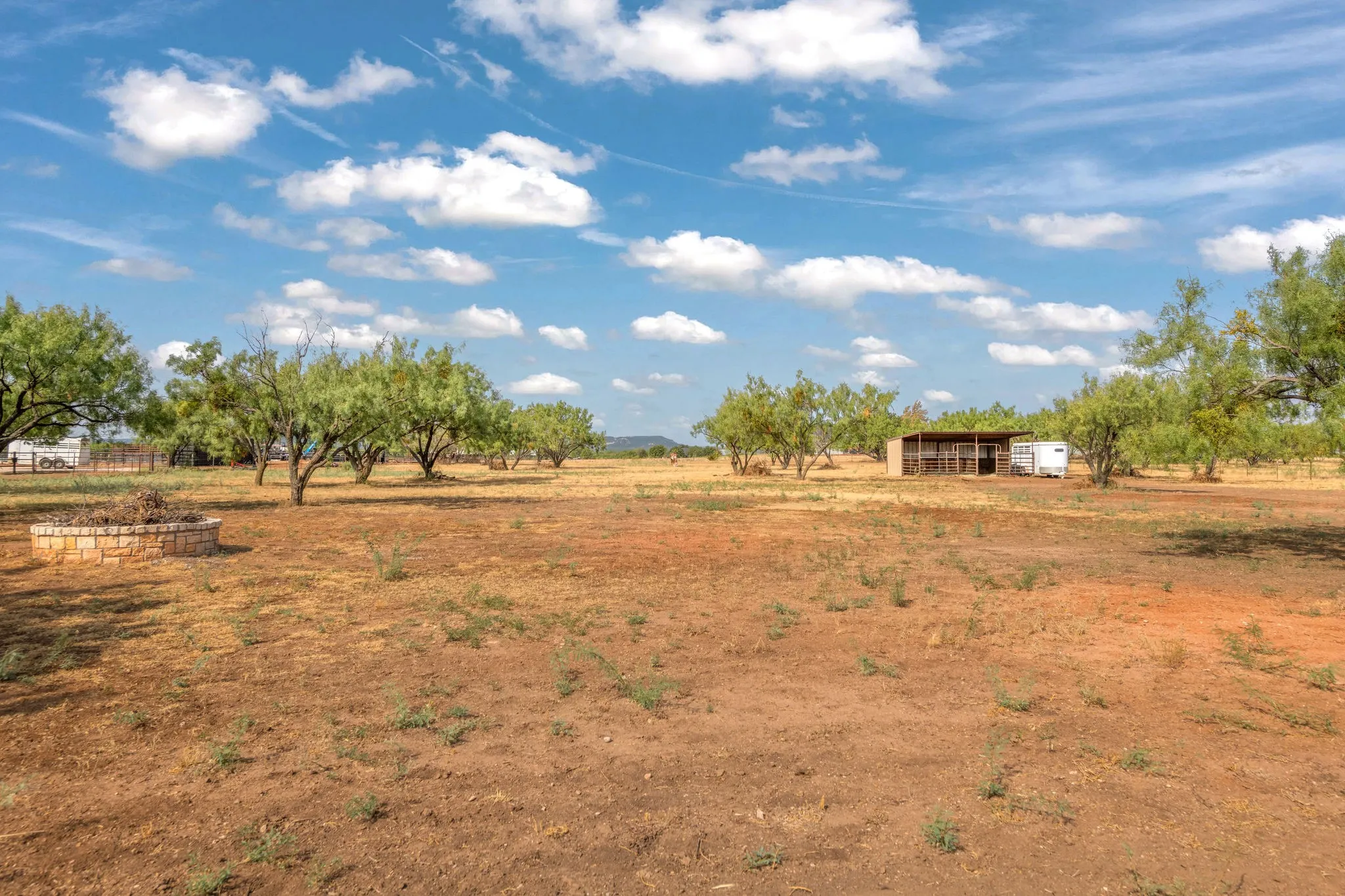 Expansive lot featuring scattered mature trees, a stone-clad fire pit, and an animal shelter.