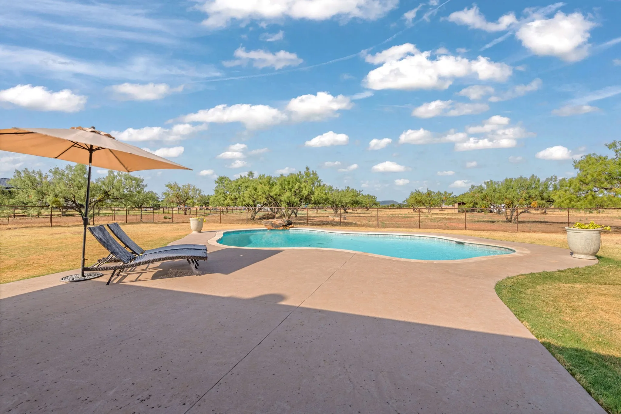 Curved inground pool with concrete surround.
