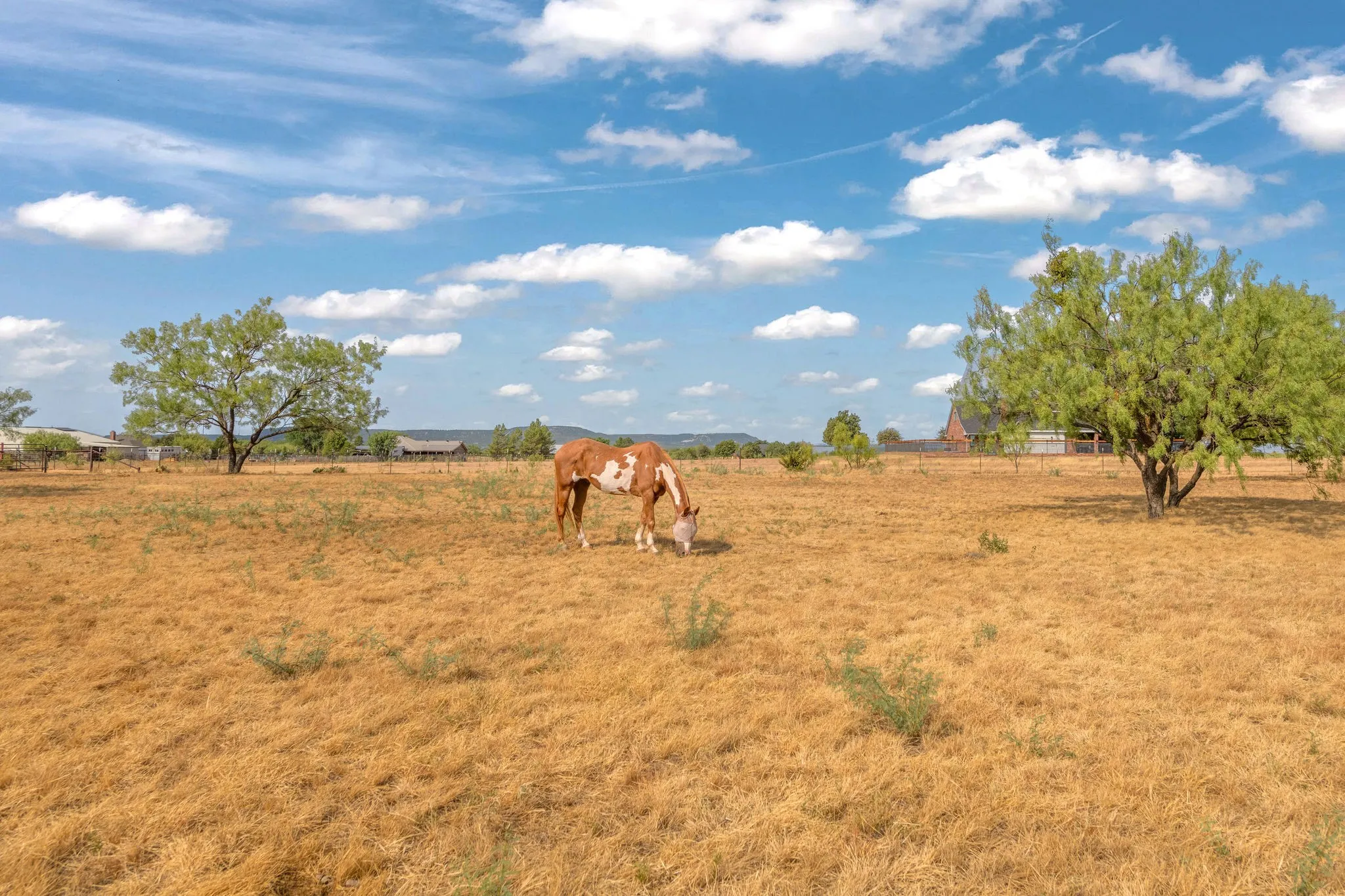 Expansive open field with scattered trees and a view of the hills in the distance.  Animal shelter.  Horse not included!