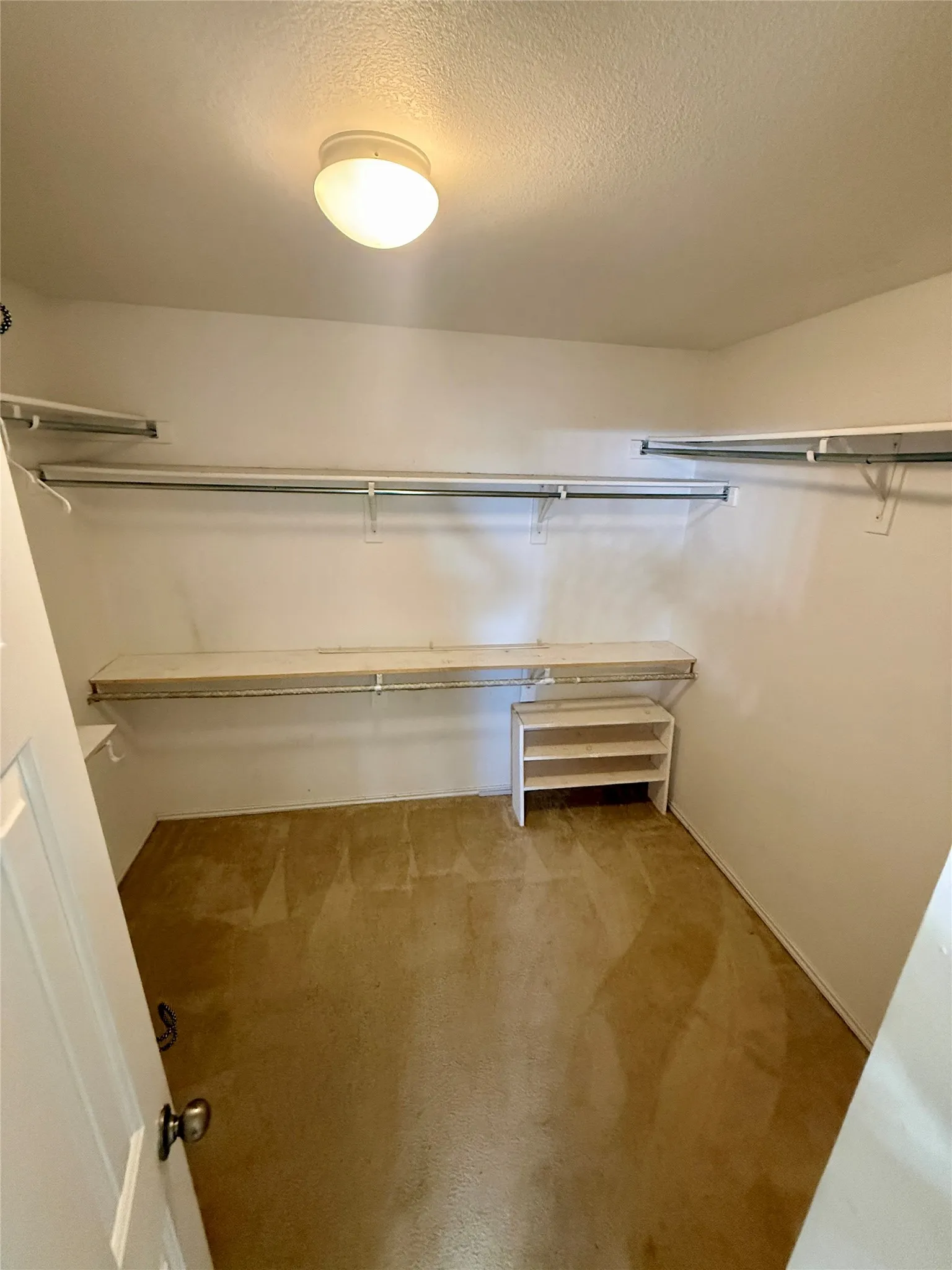Large Primary Walk-in closet with built-in shelving, hanging rods, and carpet flooring