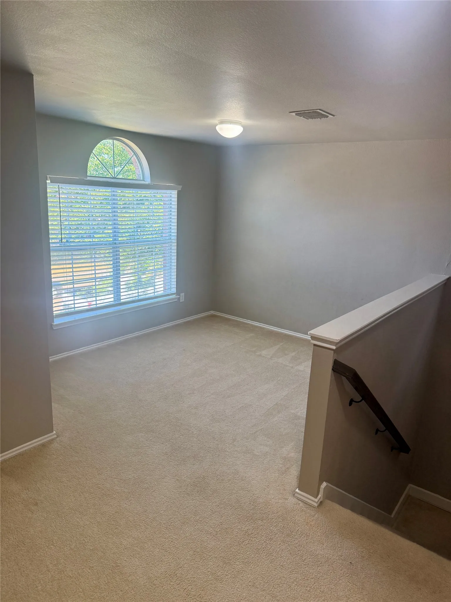Carpeted room featuring a window with an arched transom, horizontal blinds, and a flush mount ceiling light