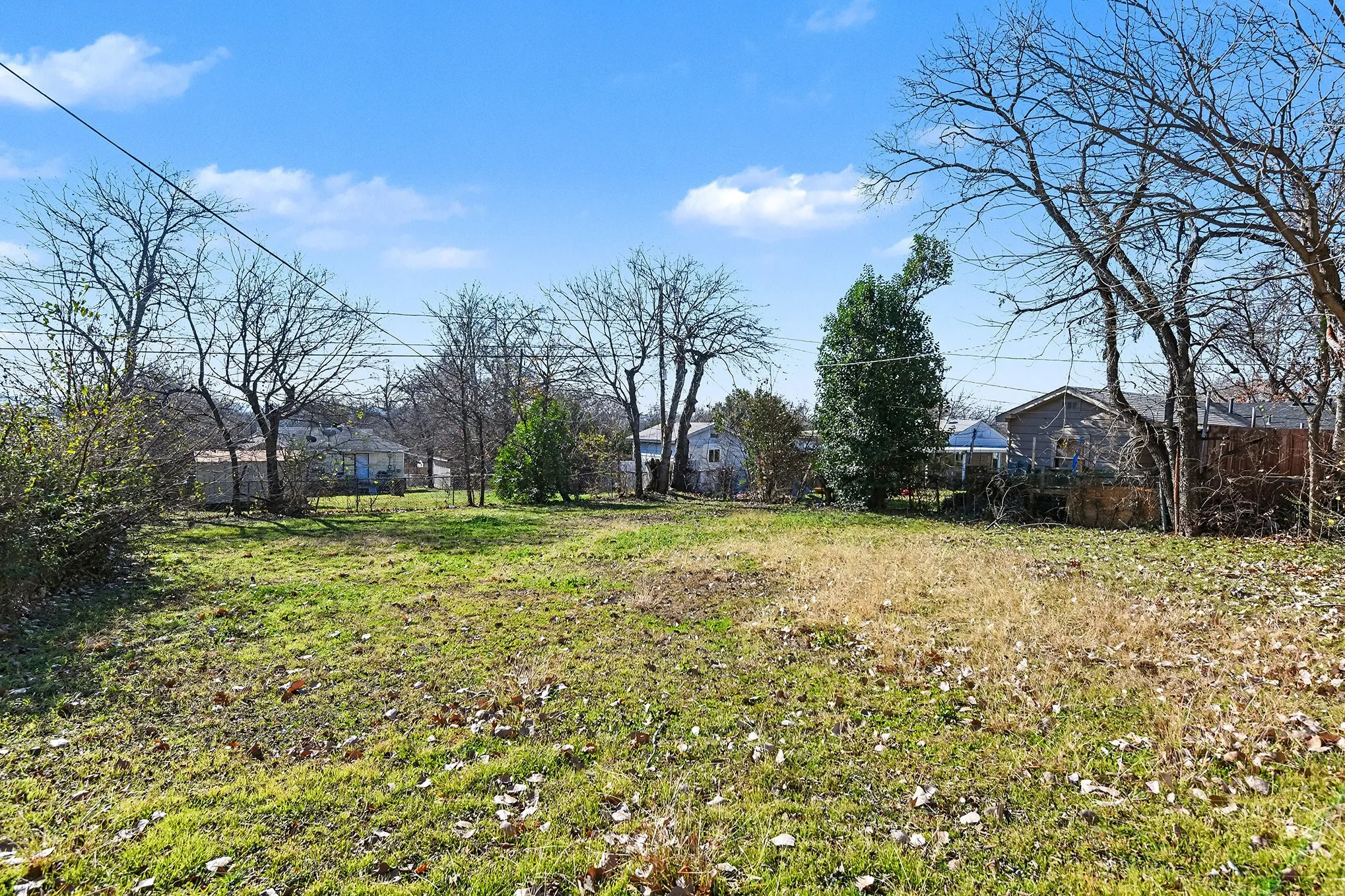 Expansive grassy lot with surrounding mature trees and varied vegetation