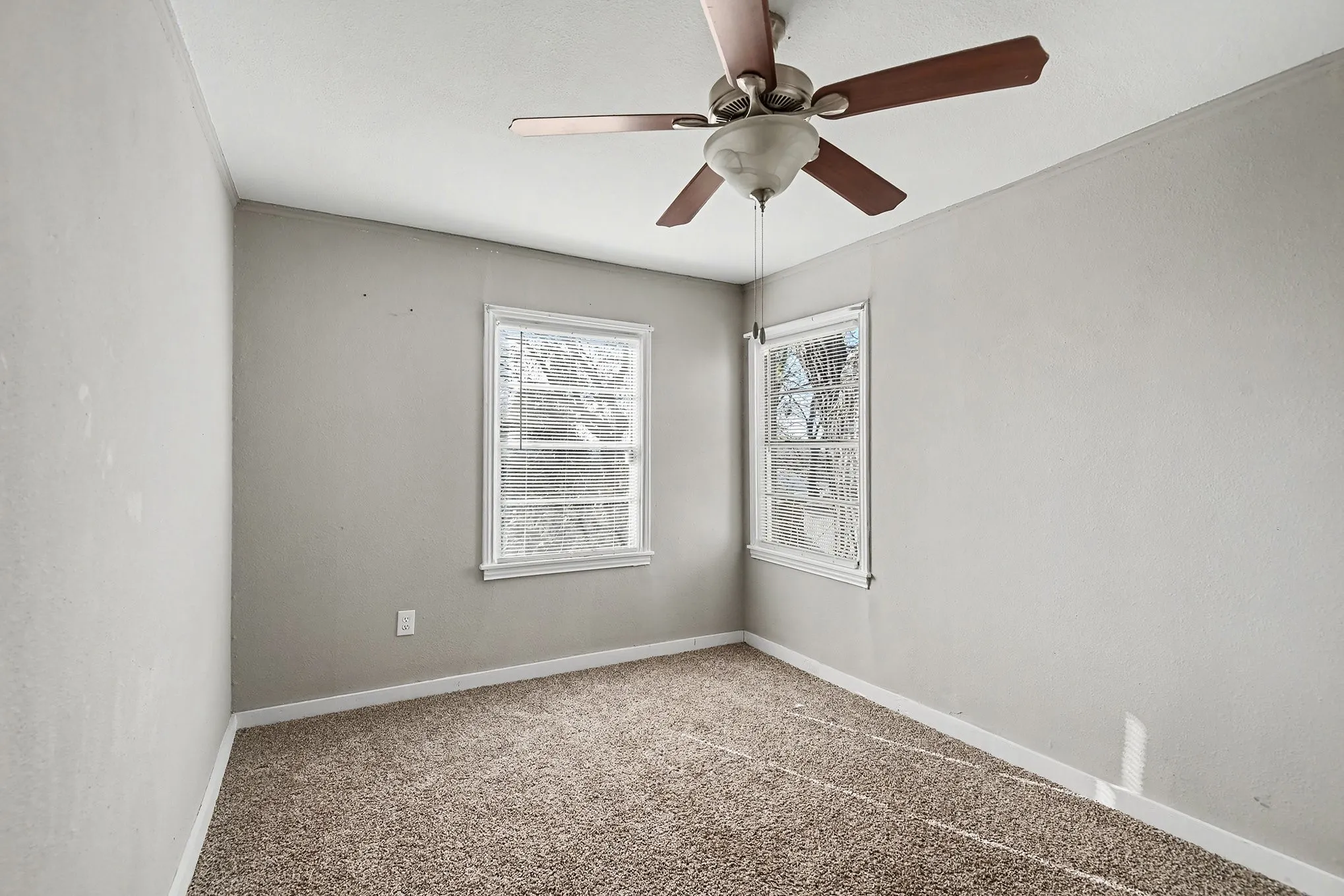 Two windows, ceiling fan with light fixture, and carpeted flooring