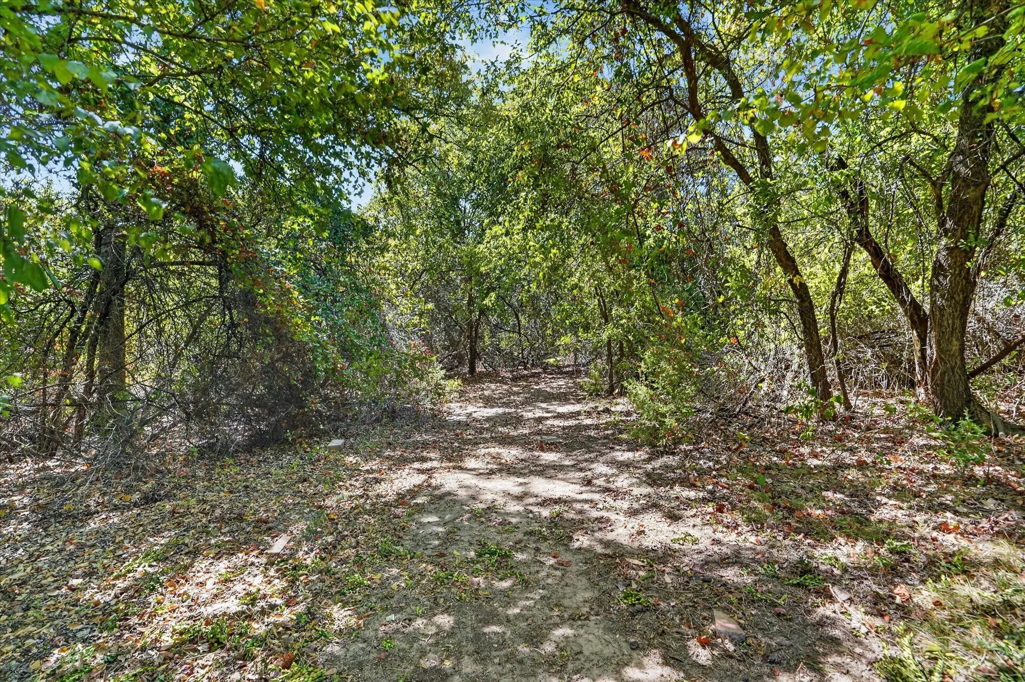 Wooded lot with mature trees and natural foliage