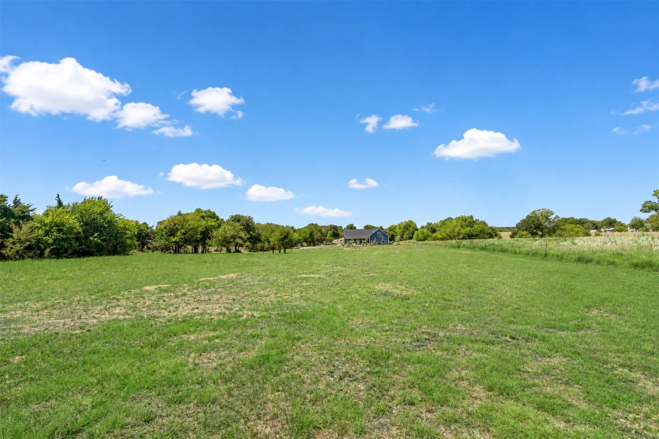 extremely large back yard