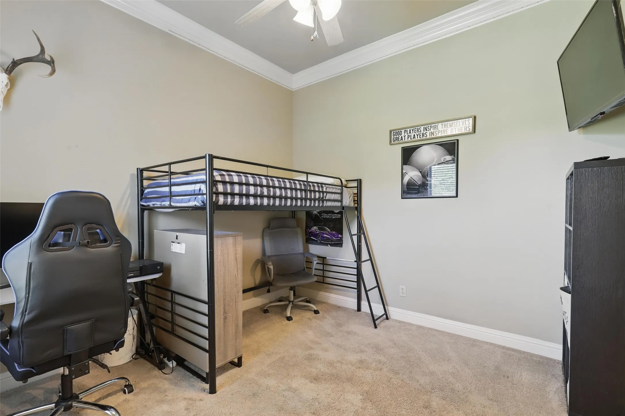 Room featuring crown molding, carpeted flooring, and a ceiling fan