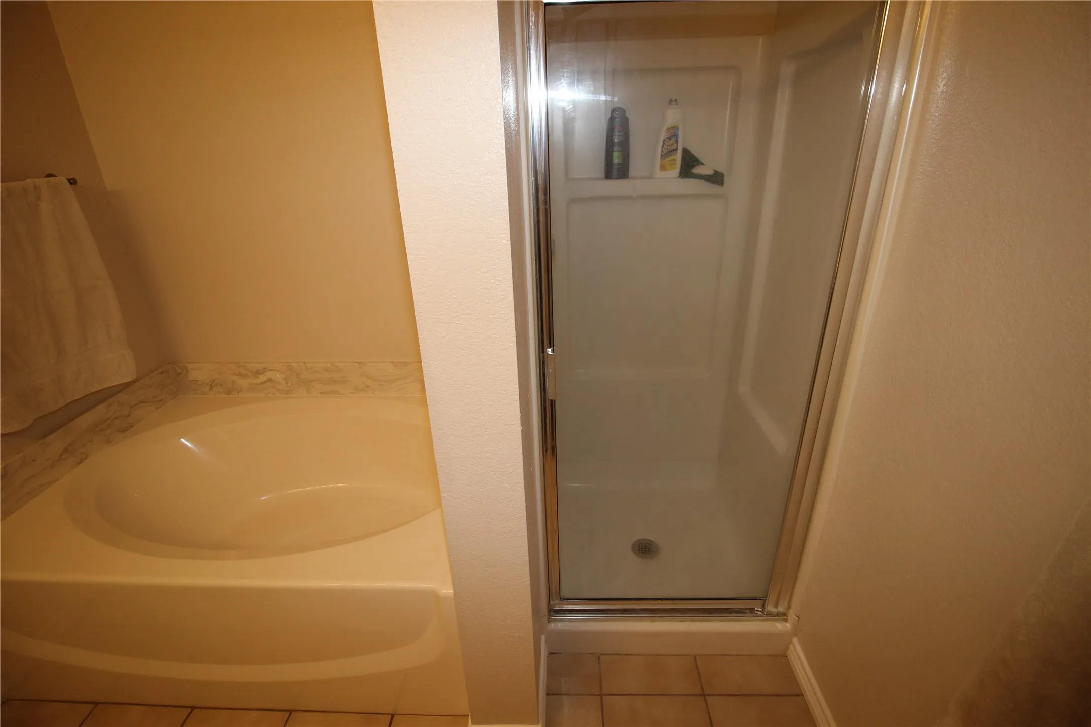 Primary bath with seperate shower
