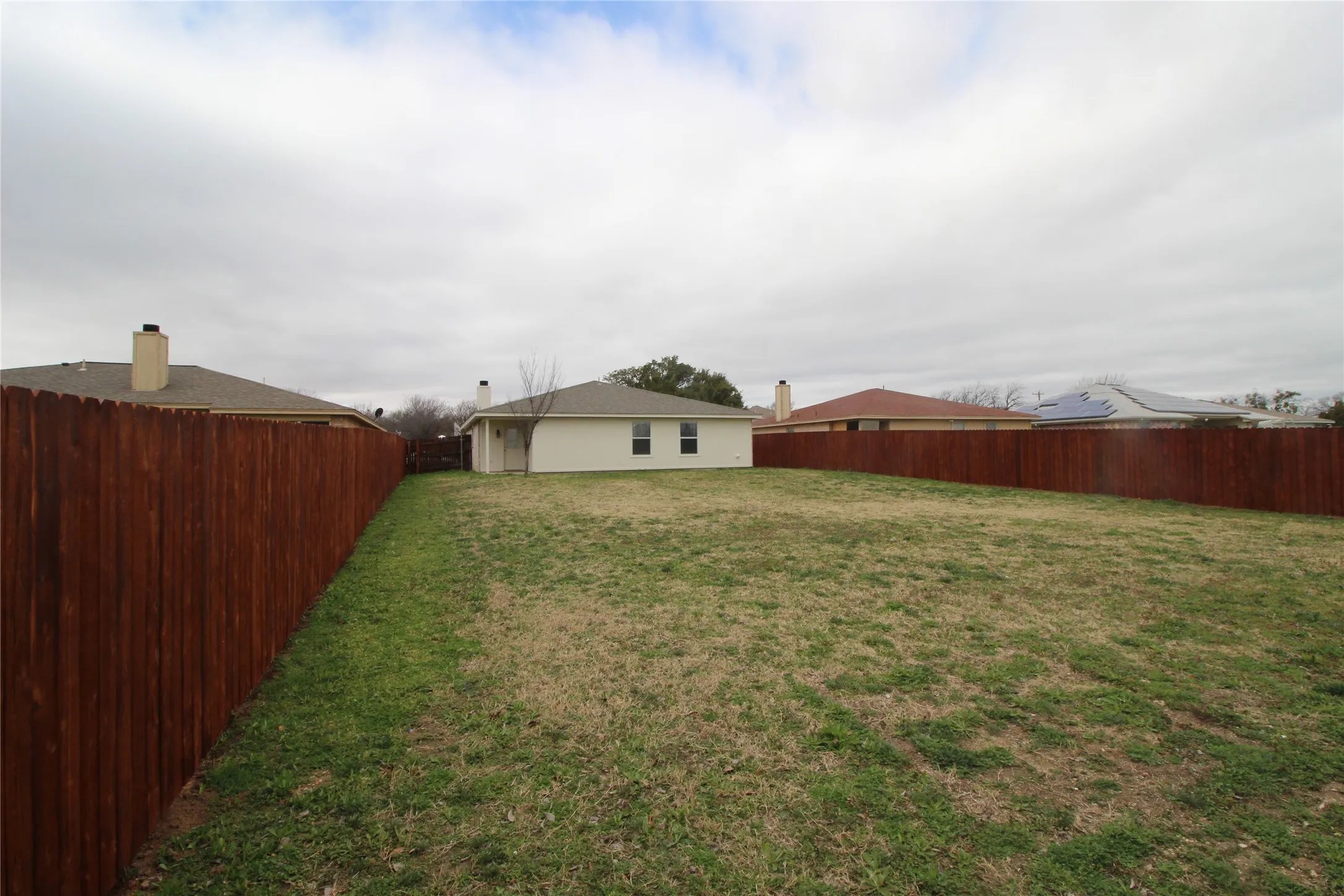 Other side of yard