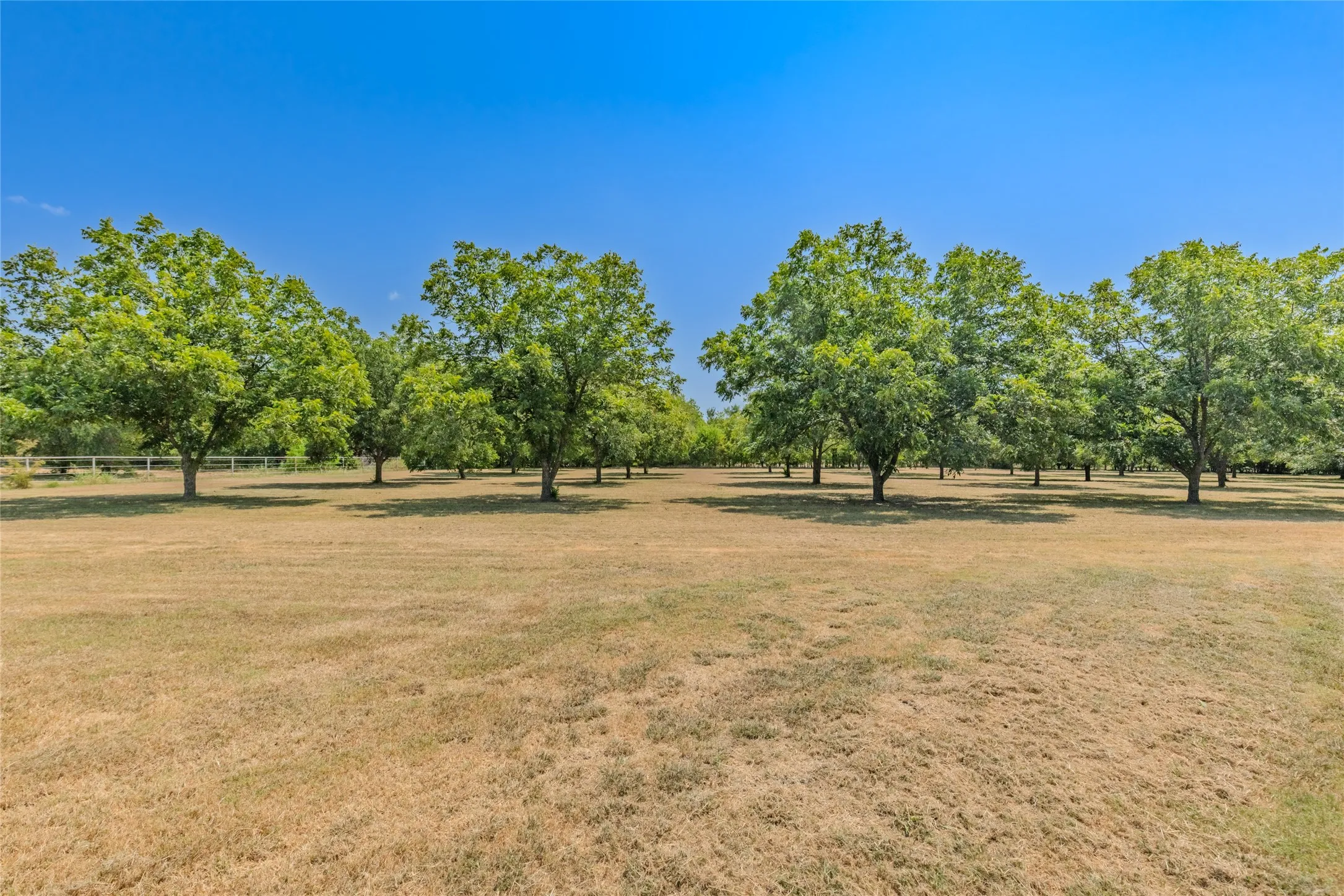 Single Family Residence For Sale in Rains County , 4886 White Rock, Lone Oak, Texas 75453, 3 Bedroom, 2 Bathroom, Garage spaces, 2,559 Sqft, built in 1993, Price $900,000, mls#21361159, Real Estate Agent in Lone Oak, Homes For Sale in Rains county, Homes For Sale in Lone Oak, Realtor in Lone Oak Texas, Real Estate Brokerage Independent Realty Texas, Luminita Cordes Realtor