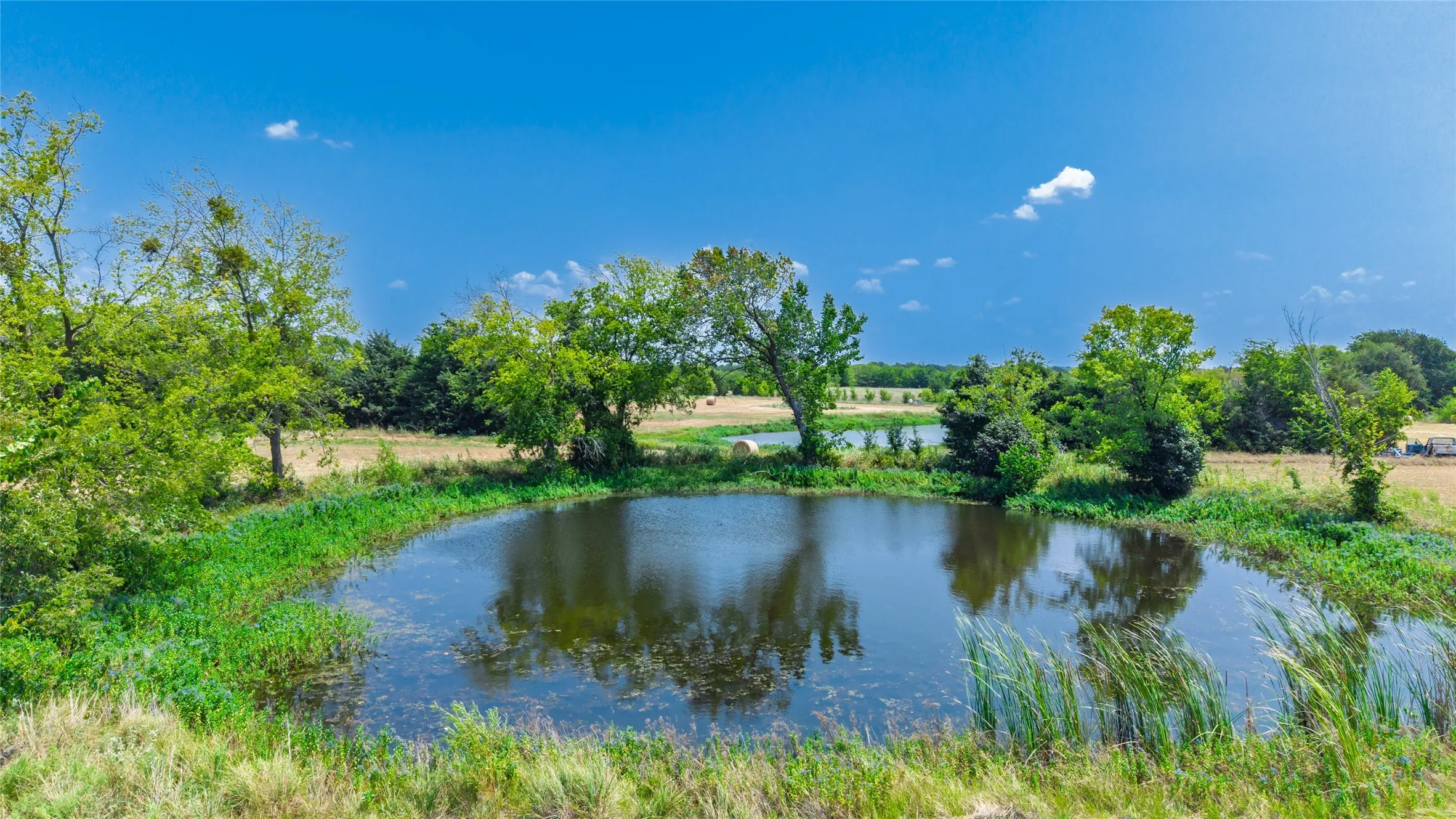 Natural water feature surrounded by established trees and lush foliage