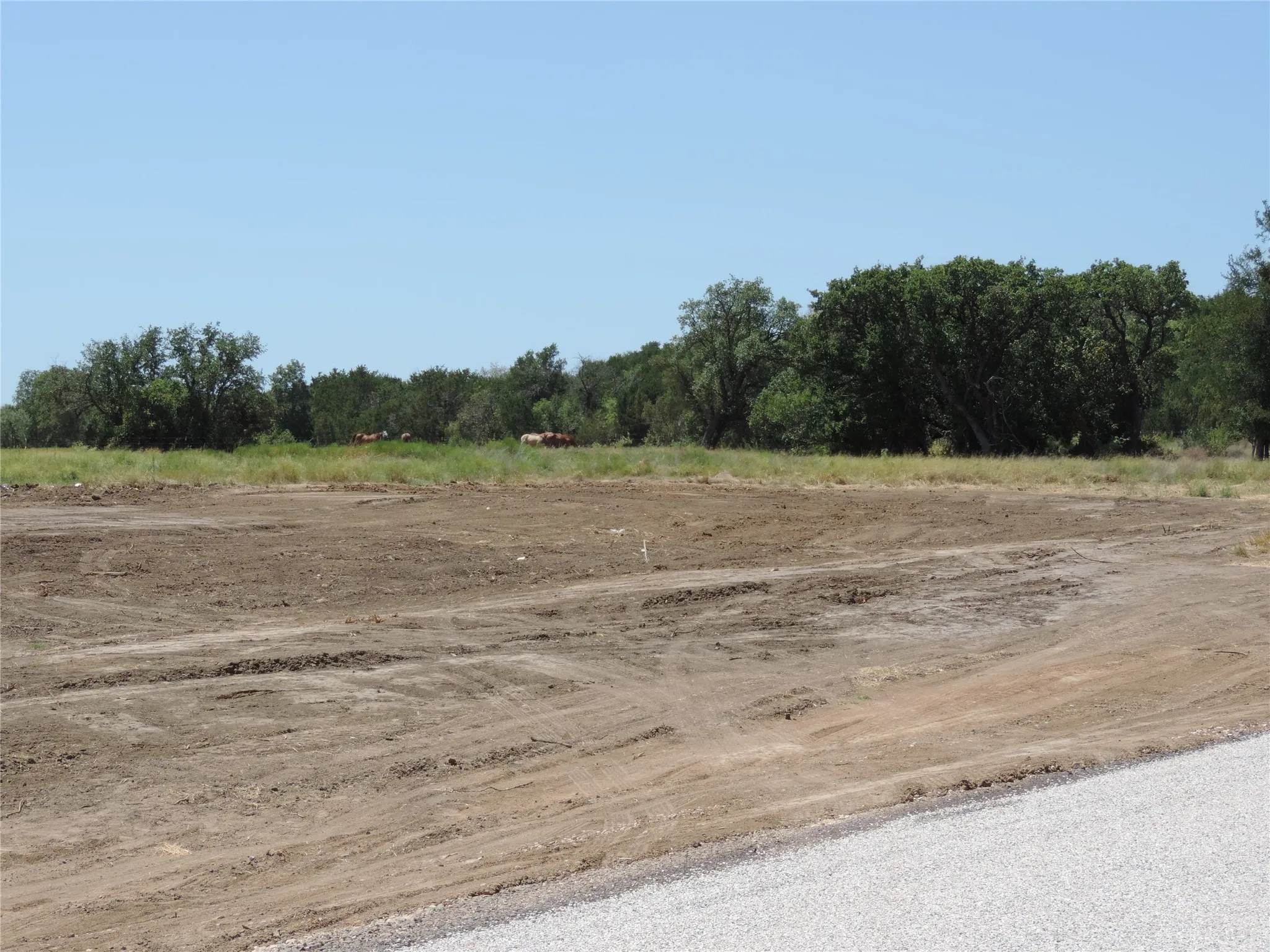 Unimproved Land For Sale in Erath County , Lot 14 Silver Spur Court, Stephenville, Texas 76401, 0, 0, Garage spaces, 0 Sqft, built in 0, Price $152,075, mls#21361359, Real Estate Agent in Stephenville, Homes For Sale in Erath county, Homes For Sale in Stephenville, Realtor in Stephenville Texas, Real Estate Brokerage Independent Realty Texas, Luminita Cordes Realtor