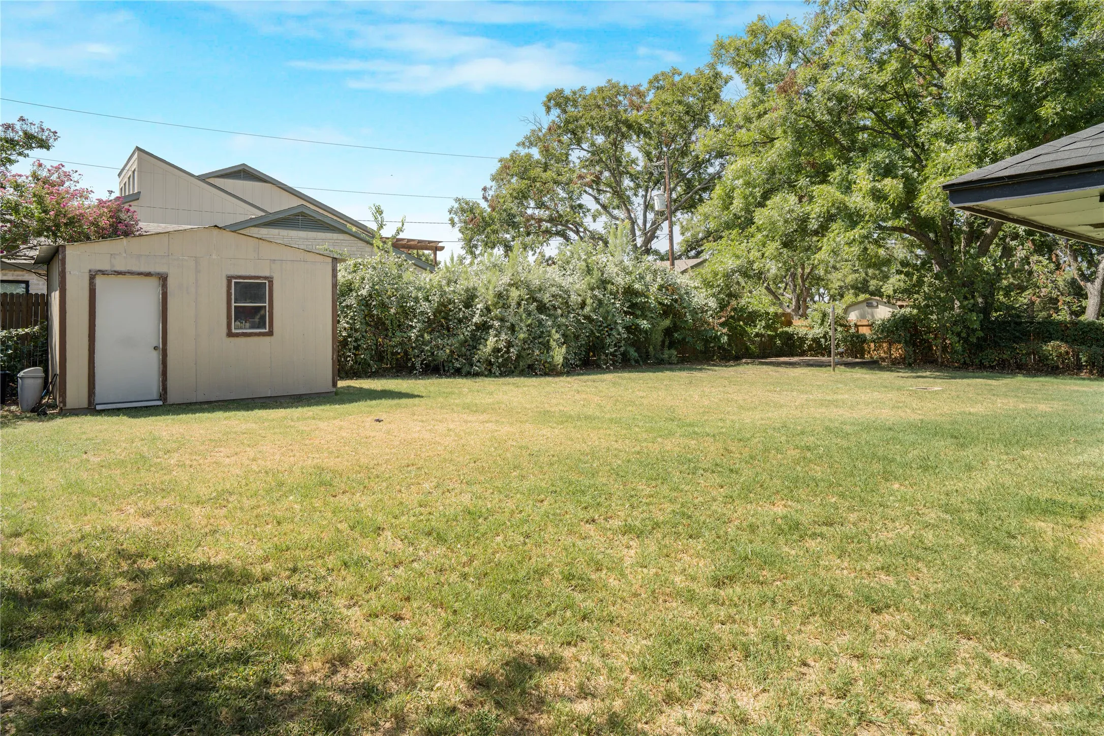 backyard