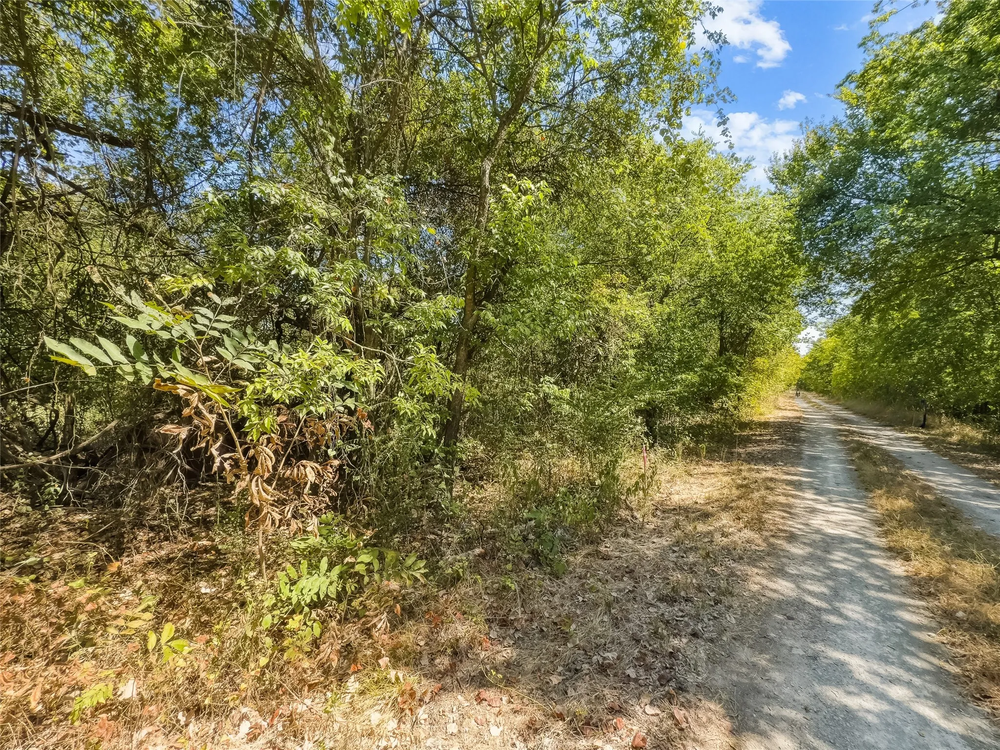 Improved Land For Sale in Johnson County , 200 Willie Mae Road, Cleburne, Texas 76031, 0, 0, Garage spaces, 0 Sqft, built in 0, mls#21361415, Real Estate Agent in Cleburne, Homes For Sale in Johnson county, Homes For Sale in Cleburne, Realtor in Cleburne Texas, Real Estate Brokerage Independent Realty Texas, Luminita Cordes Realtor