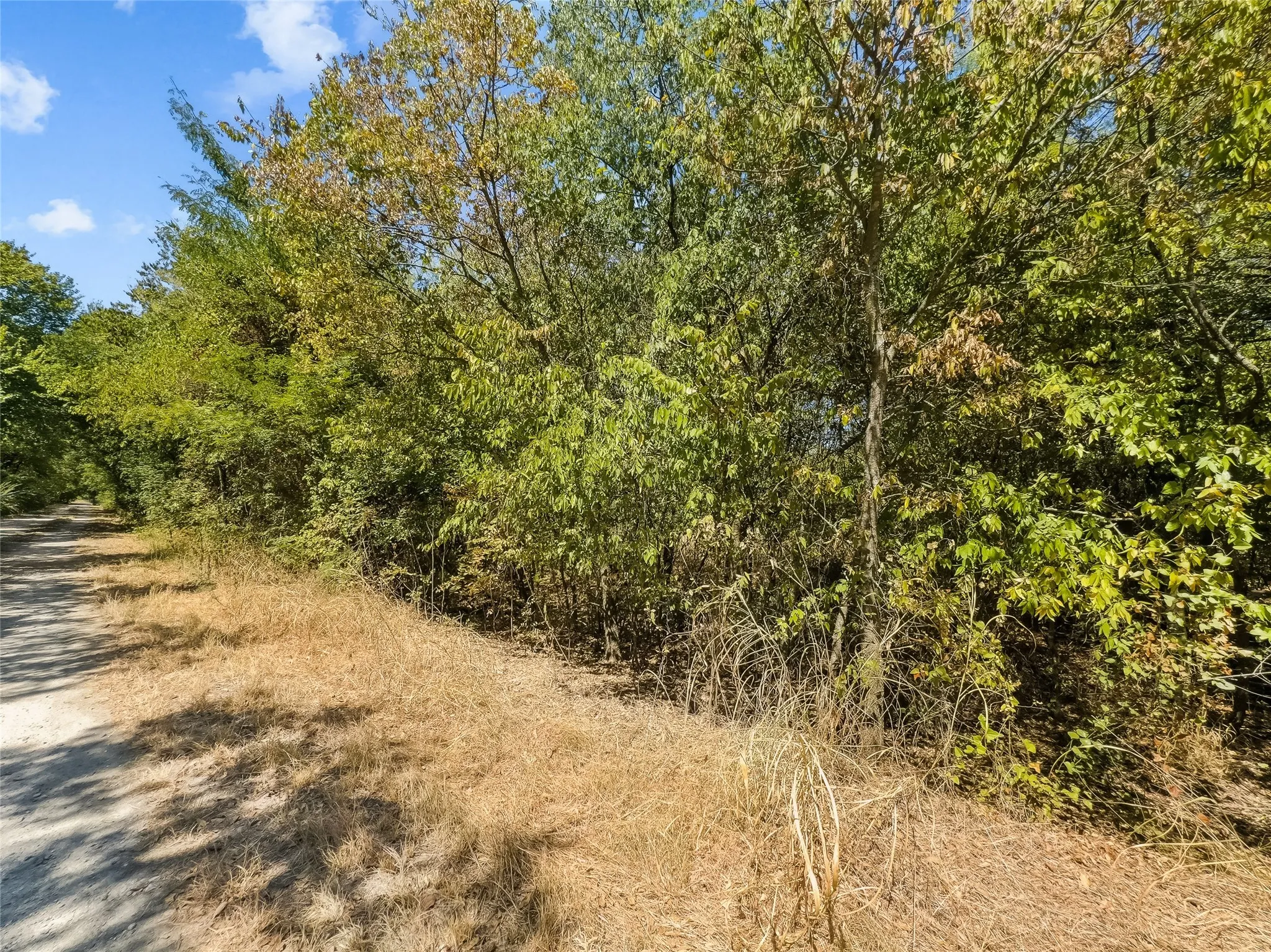 Improved Land For Sale in Johnson County , 200 Willie Mae Road, Cleburne, Texas 76031, 0, 0, Garage spaces, 0 Sqft, built in 0, mls#21361415, Real Estate Agent in Cleburne, Homes For Sale in Johnson county, Homes For Sale in Cleburne, Realtor in Cleburne Texas, Real Estate Brokerage Independent Realty Texas, Luminita Cordes Realtor