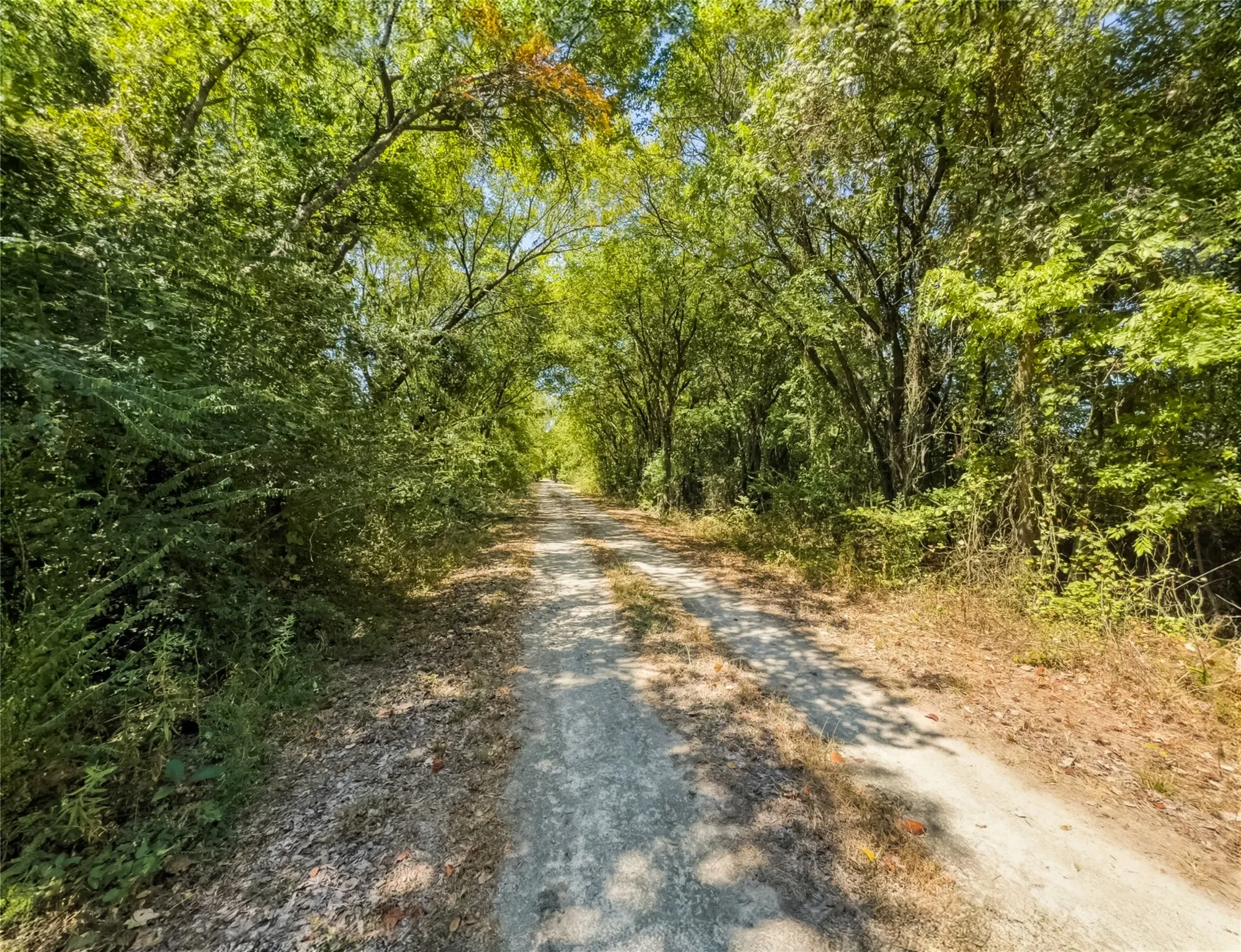 Improved Land For Sale in Johnson County , 200 Willie Mae Road, Cleburne, Texas 76031, 0, 0, Garage spaces, 0 Sqft, built in 0, mls#21361415, Real Estate Agent in Cleburne, Homes For Sale in Johnson county, Homes For Sale in Cleburne, Realtor in Cleburne Texas, Real Estate Brokerage Independent Realty Texas, Luminita Cordes Realtor