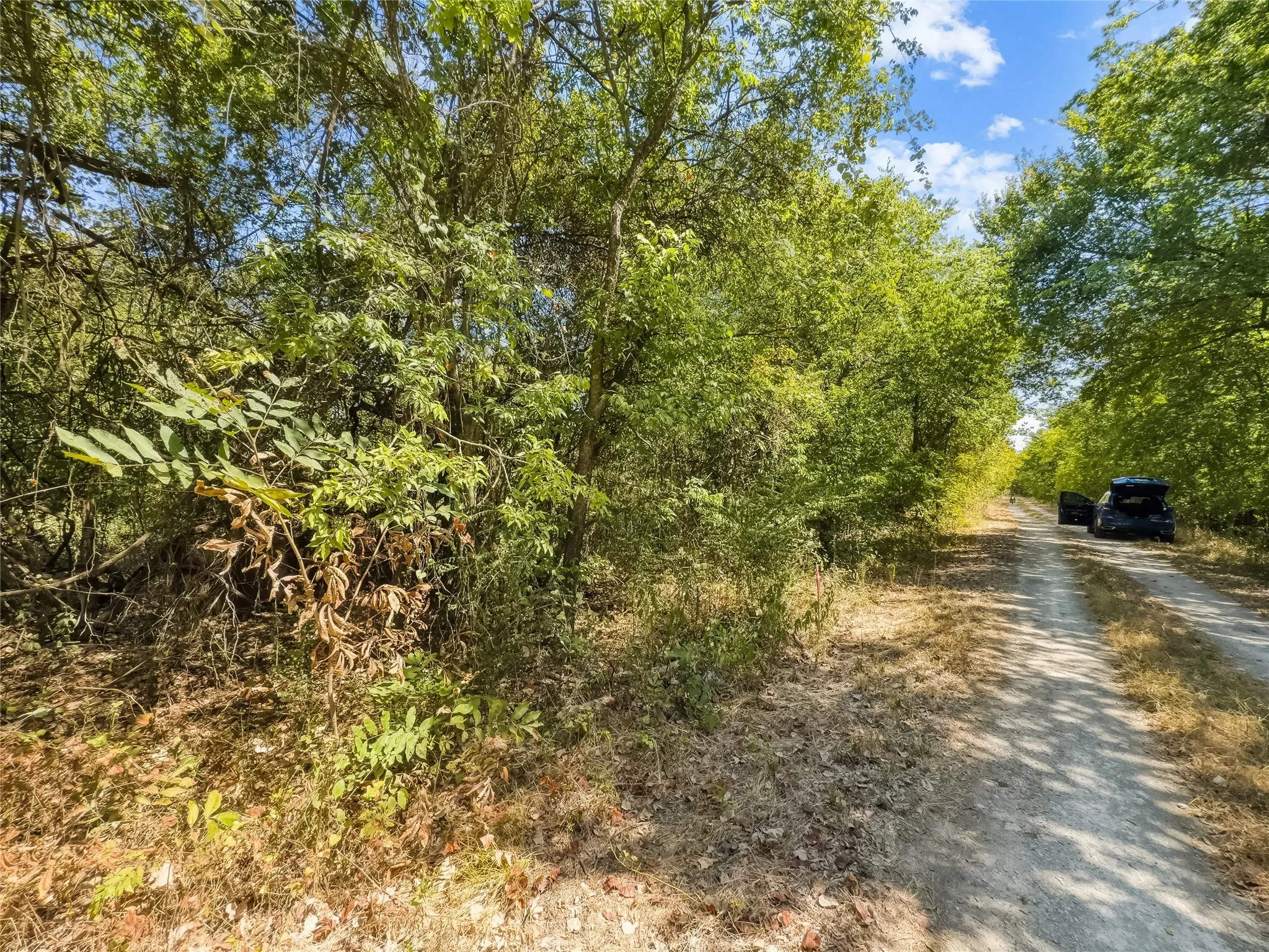 Improved Land For Sale in Johnson County , 200 Willie Mae Road, Cleburne, Texas 76031, 0, 0, Garage spaces, 0 Sqft, built in 0, mls#21361415, Real Estate Agent in Cleburne, Homes For Sale in Johnson county, Homes For Sale in Cleburne, Realtor in Cleburne Texas, Real Estate Brokerage Independent Realty Texas, Luminita Cordes Realtor