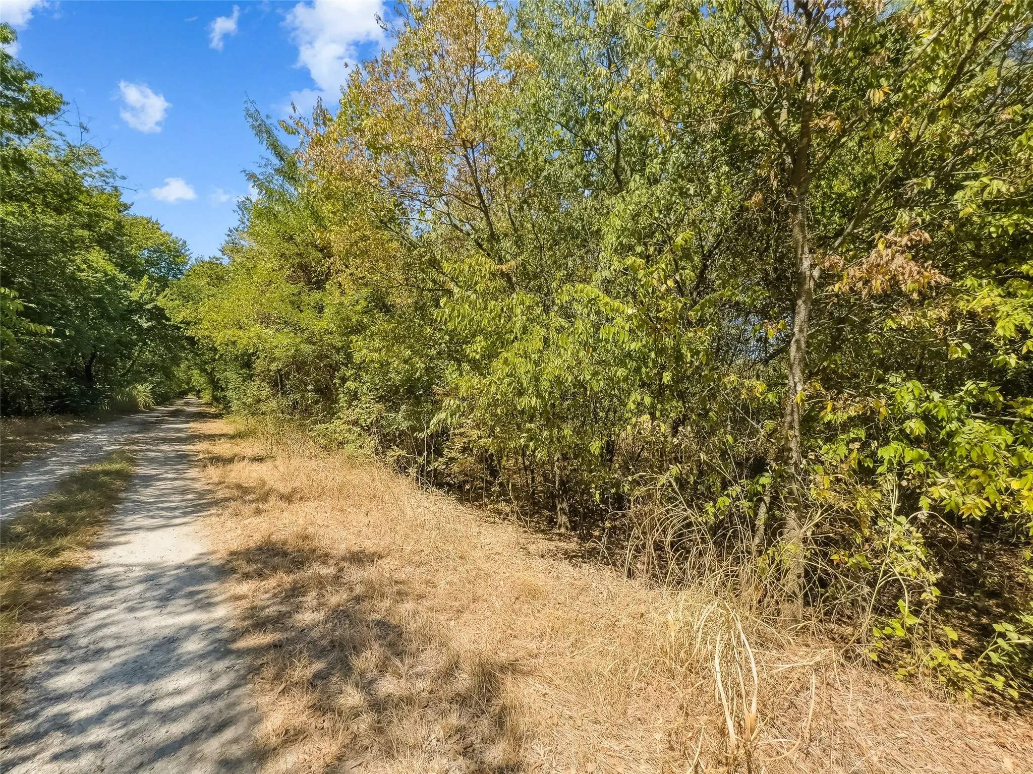 Improved Land For Sale in Johnson County , 200 Willie Mae Road, Cleburne, Texas 76031, 0, 0, Garage spaces, 0 Sqft, built in 0, mls#21361415, Real Estate Agent in Cleburne, Homes For Sale in Johnson county, Homes For Sale in Cleburne, Realtor in Cleburne Texas, Real Estate Brokerage Independent Realty Texas, Luminita Cordes Realtor