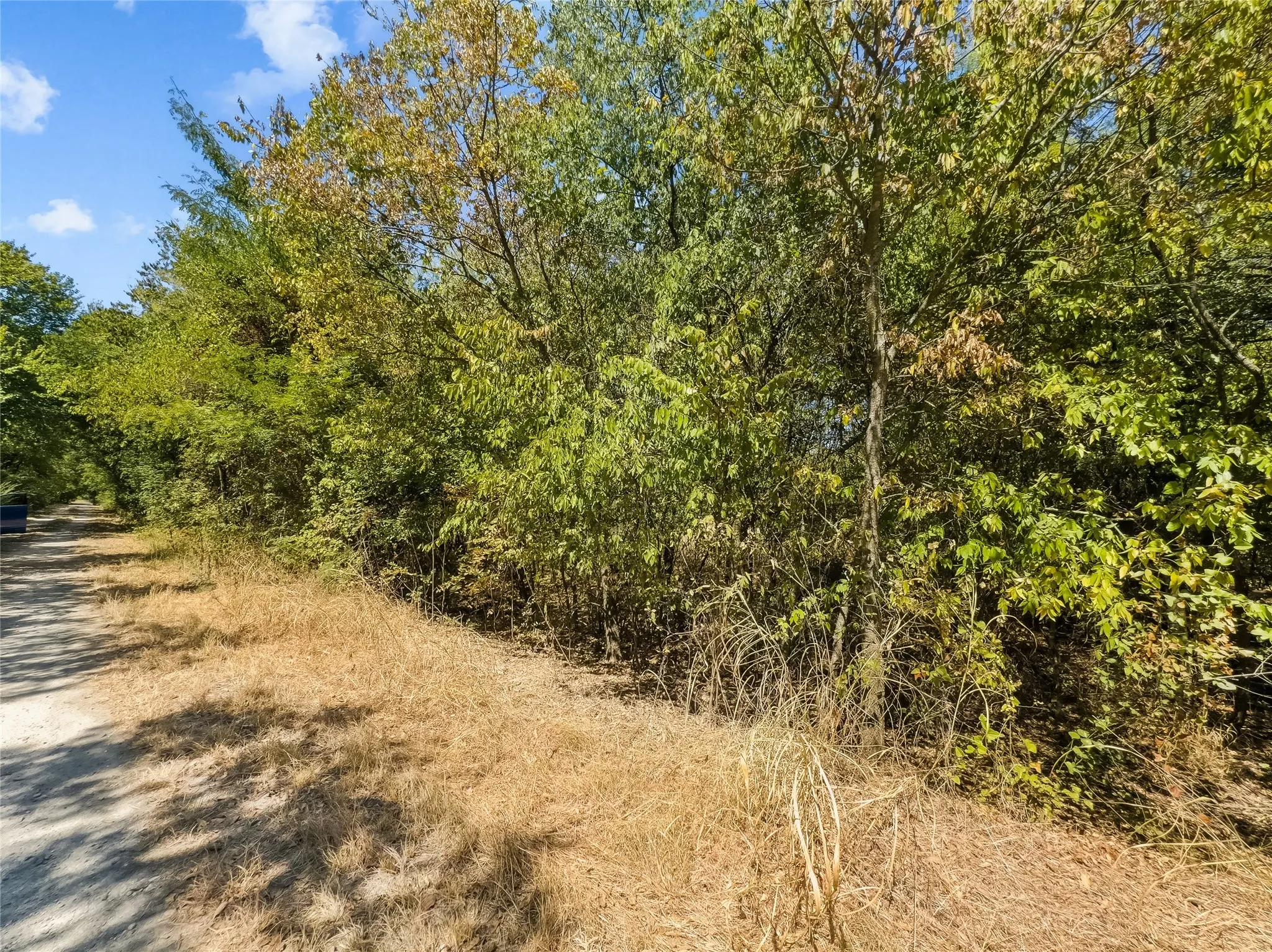 Improved Land For Sale in Johnson County , 200 Willie Mae Road, Cleburne, Texas 76031, 0, 0, Garage spaces, 0 Sqft, built in 0, mls#21361415, Real Estate Agent in Cleburne, Homes For Sale in Johnson county, Homes For Sale in Cleburne, Realtor in Cleburne Texas, Real Estate Brokerage Independent Realty Texas, Luminita Cordes Realtor